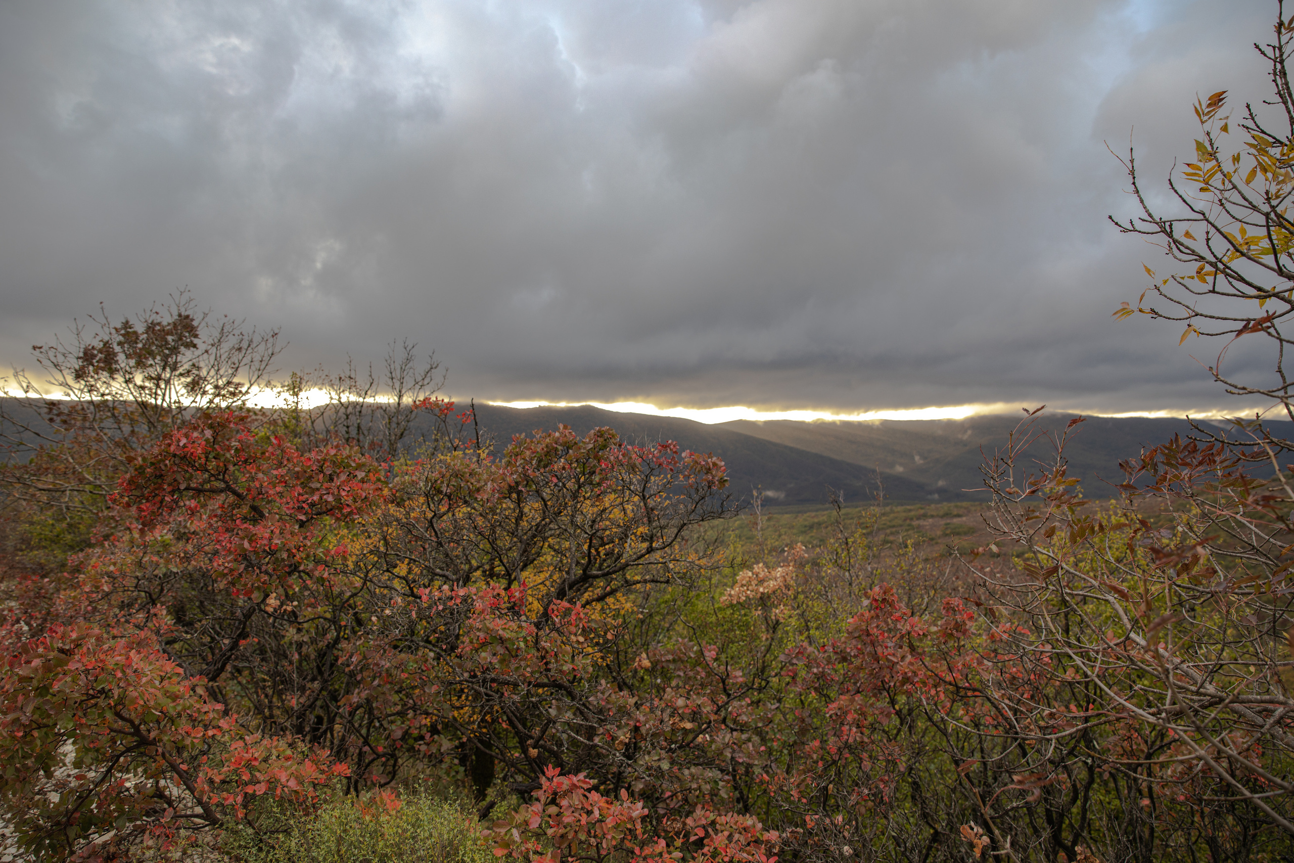 Северный Кавказ Волок. Фотографирую для себя, своей семьи и друзей!
