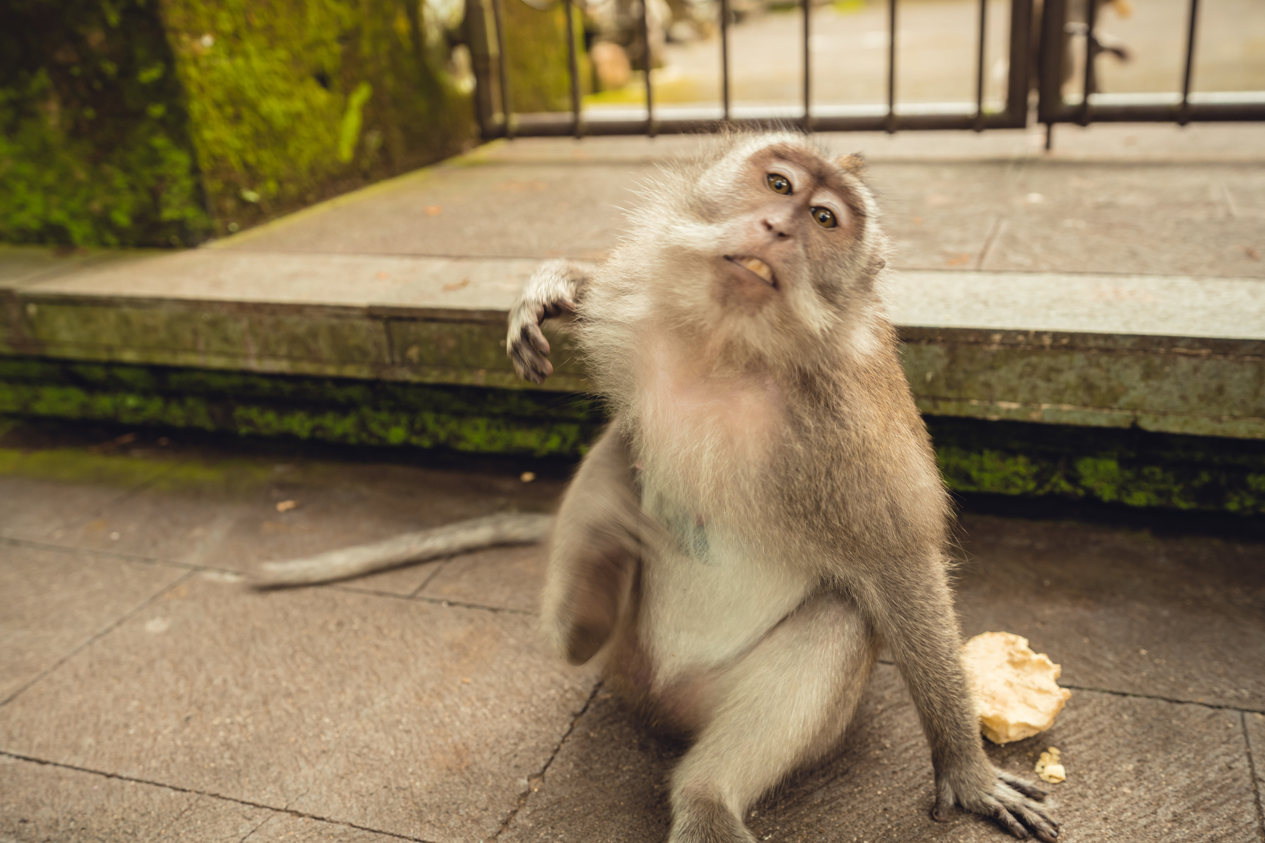 Бали. Фотографирую для себя, своей семьи и друзей!