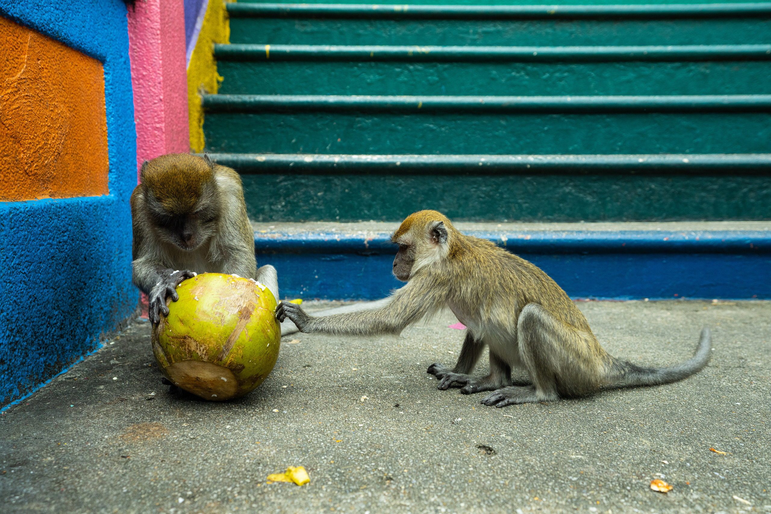 Куала Лумпур. Фотографирую для себя, своей семьи и друзей!