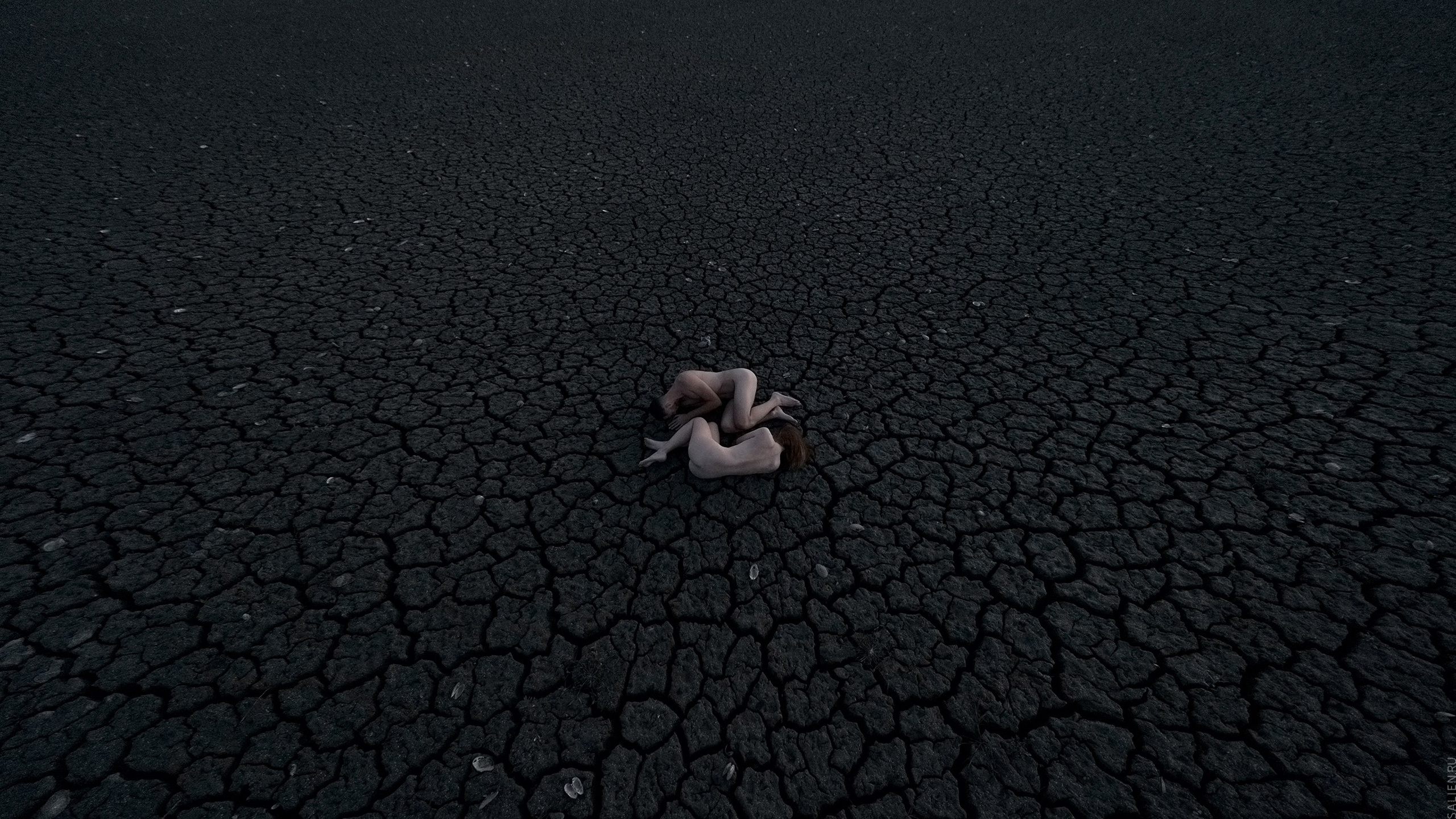 NATURAE NEXUM. Salien Adare