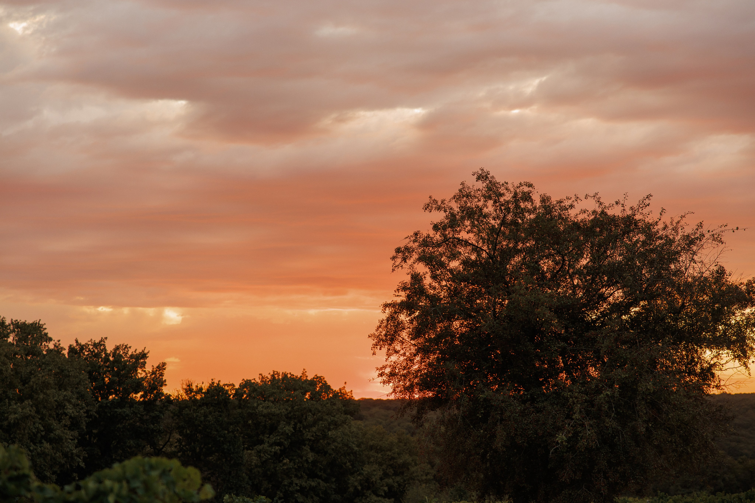 Wedding N&V. Свадебный фотограф Краснодар Юлия Ткаченко