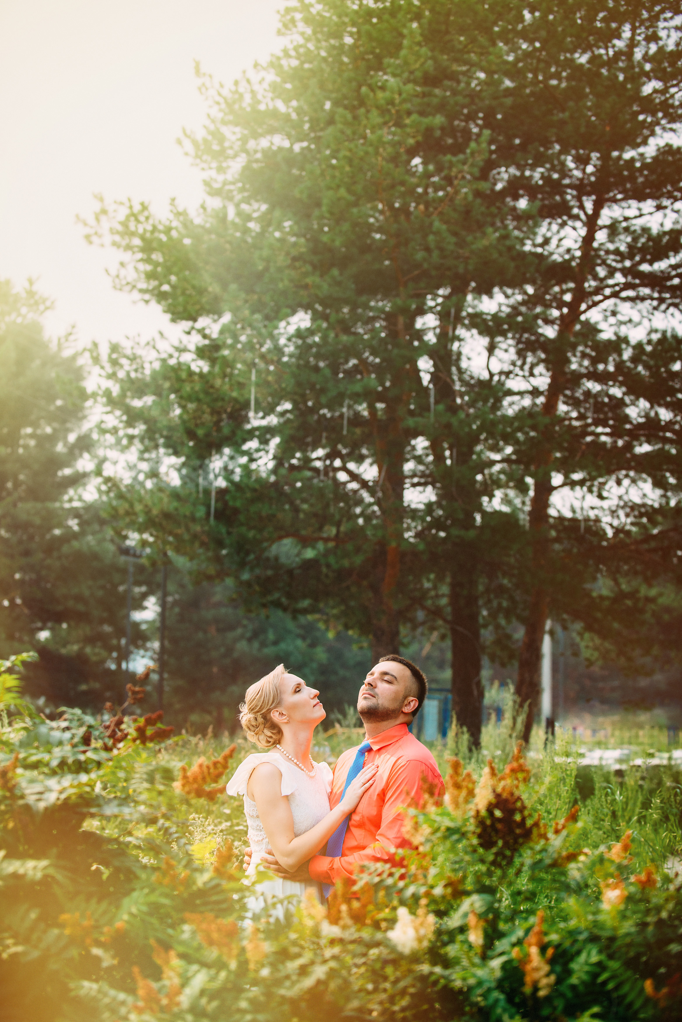 Семейный пикник в поле за городом