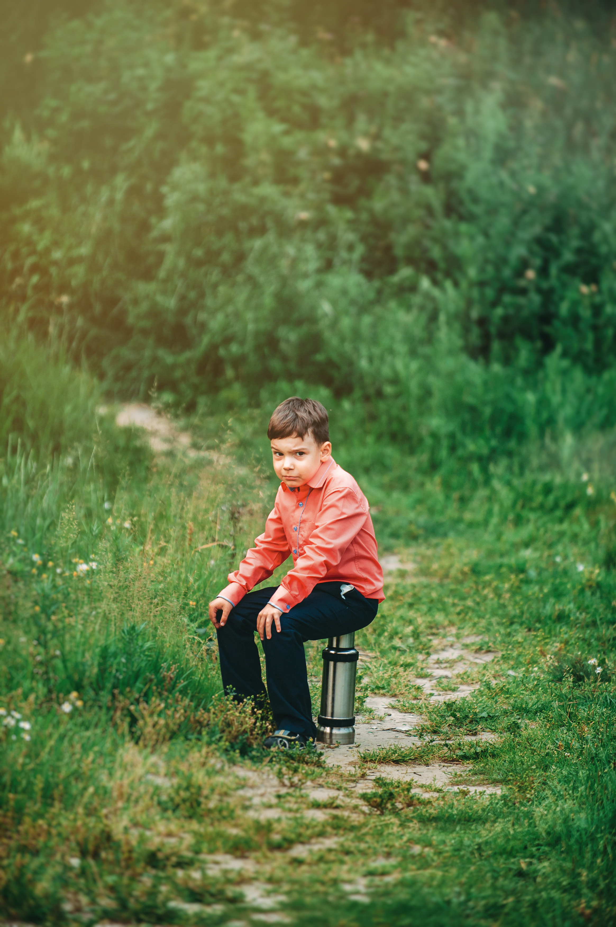 Семейный пикник в поле за городом
