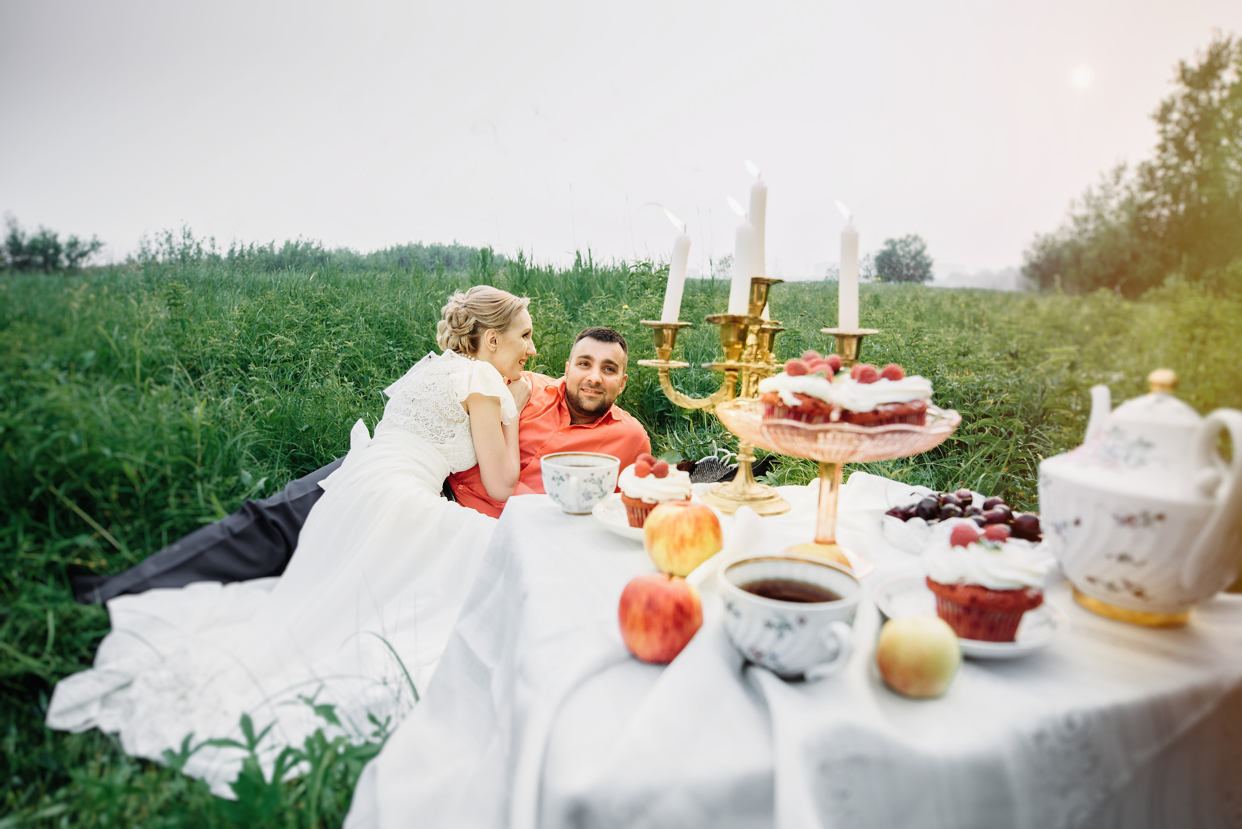 Семейный пикник в поле за городом
