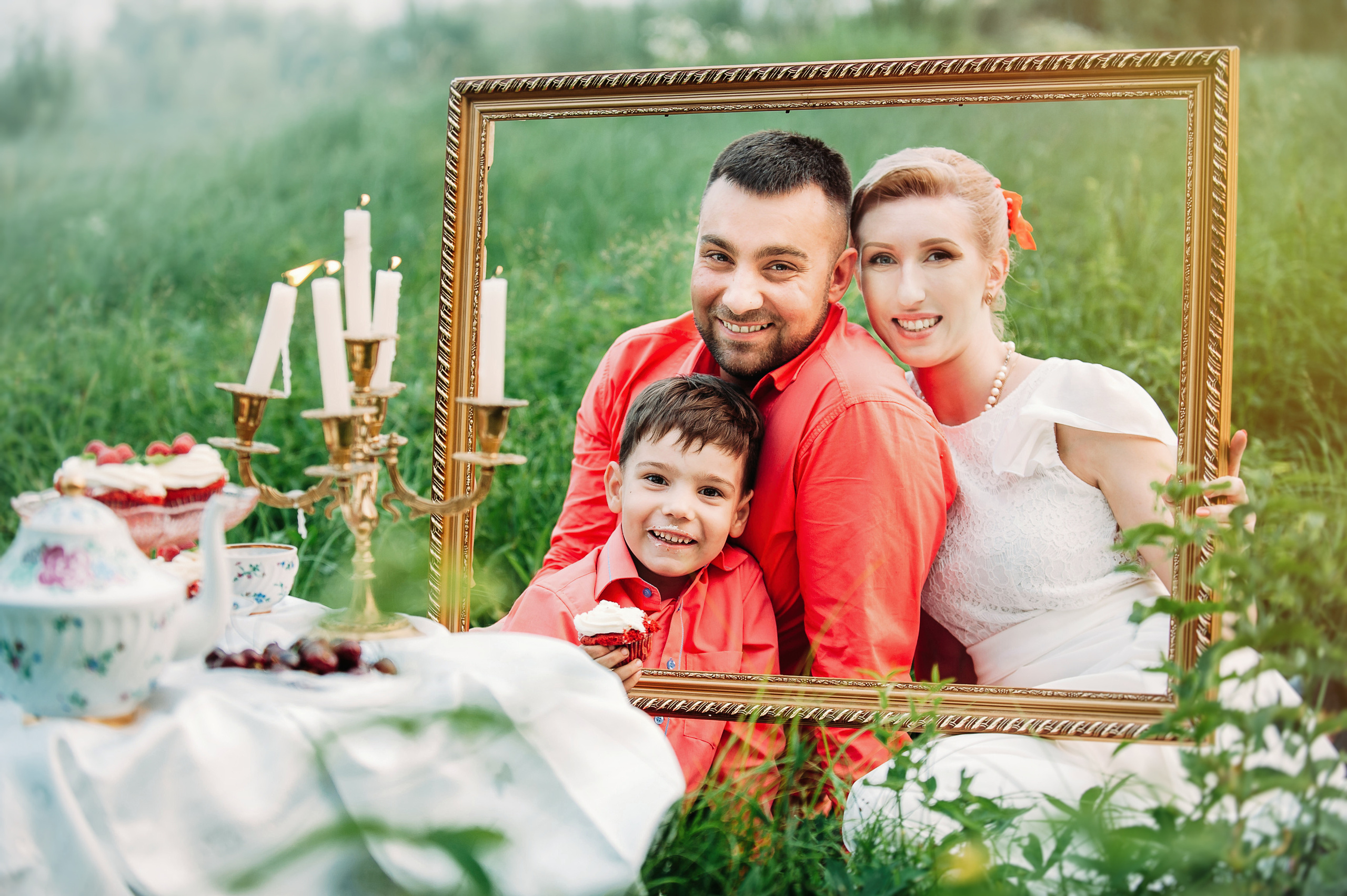 Семейный пикник в поле за городом