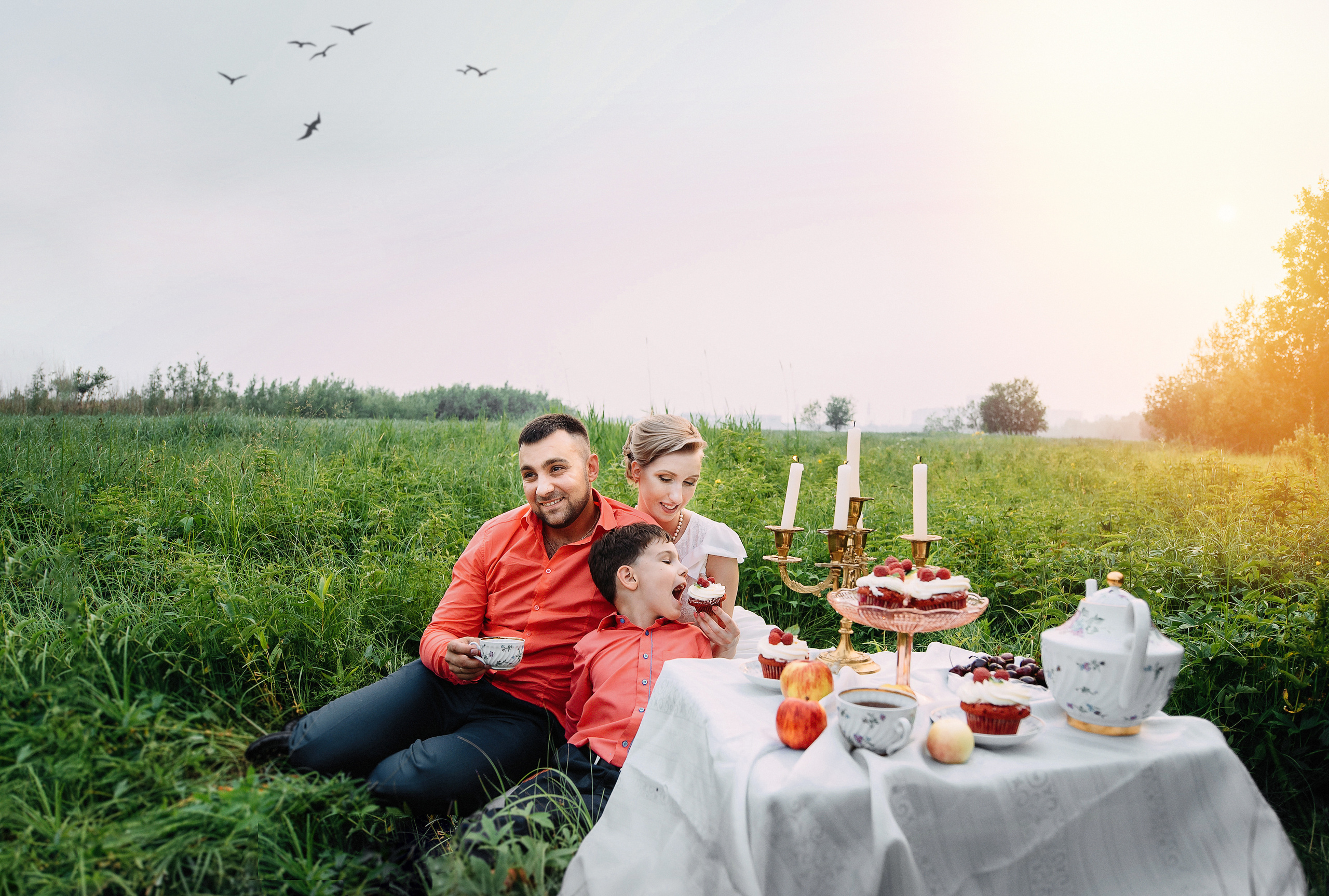 Семейный пикник в поле за городом