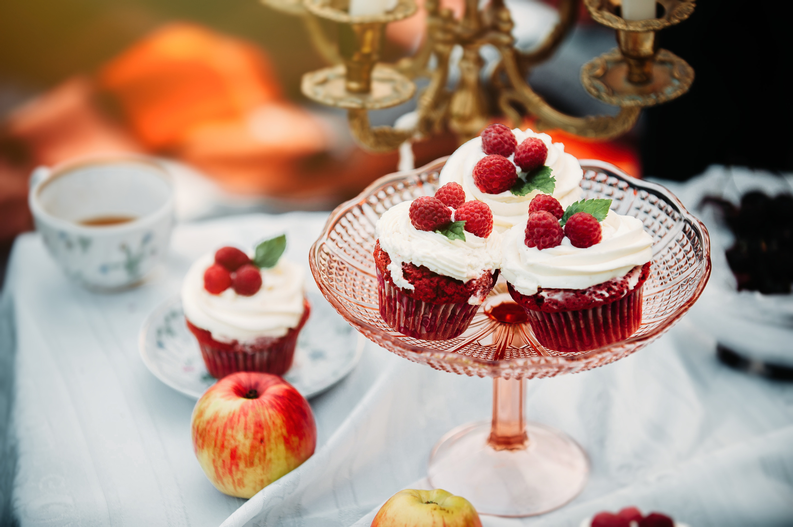 Семейный пикник в поле за городом