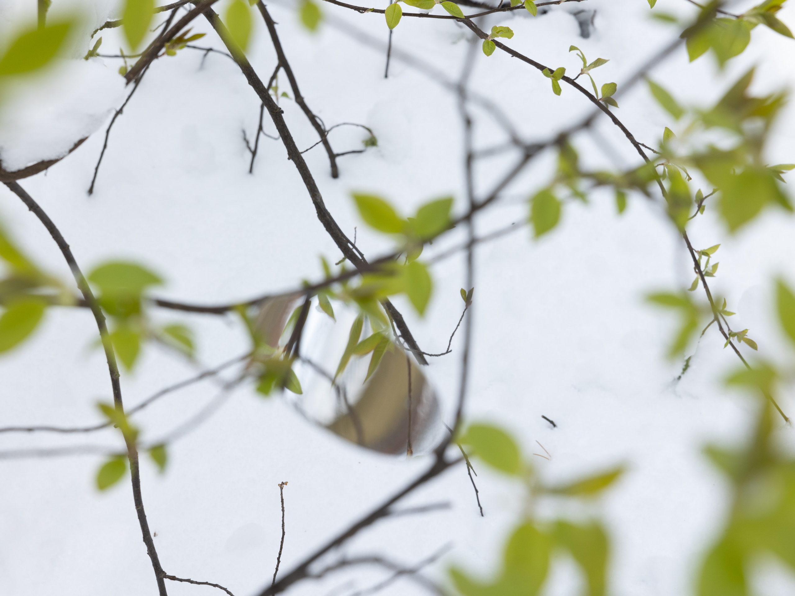 Точка сборки | The assembly point. Фотограф алина стерхова, алина стерхова фотограф, фотограф москва