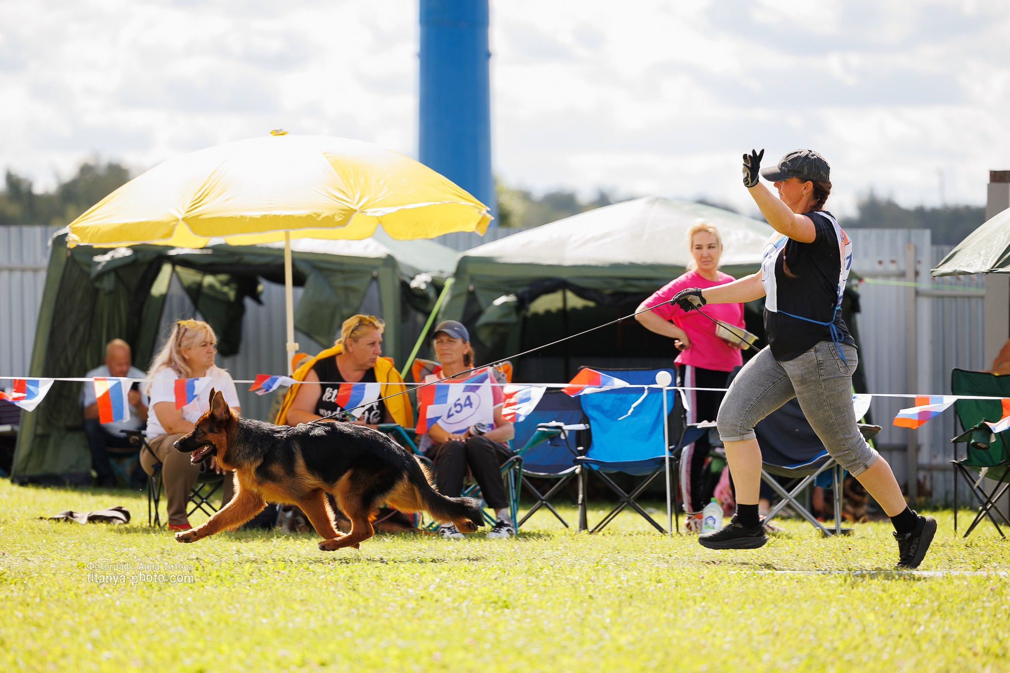 Немецкие овчарки: фото из рингов и вне ринга, мутпроба (фотографии с выставок). Фотограф собак, фотограф-анималист Аня Титова (Titanya). Москва