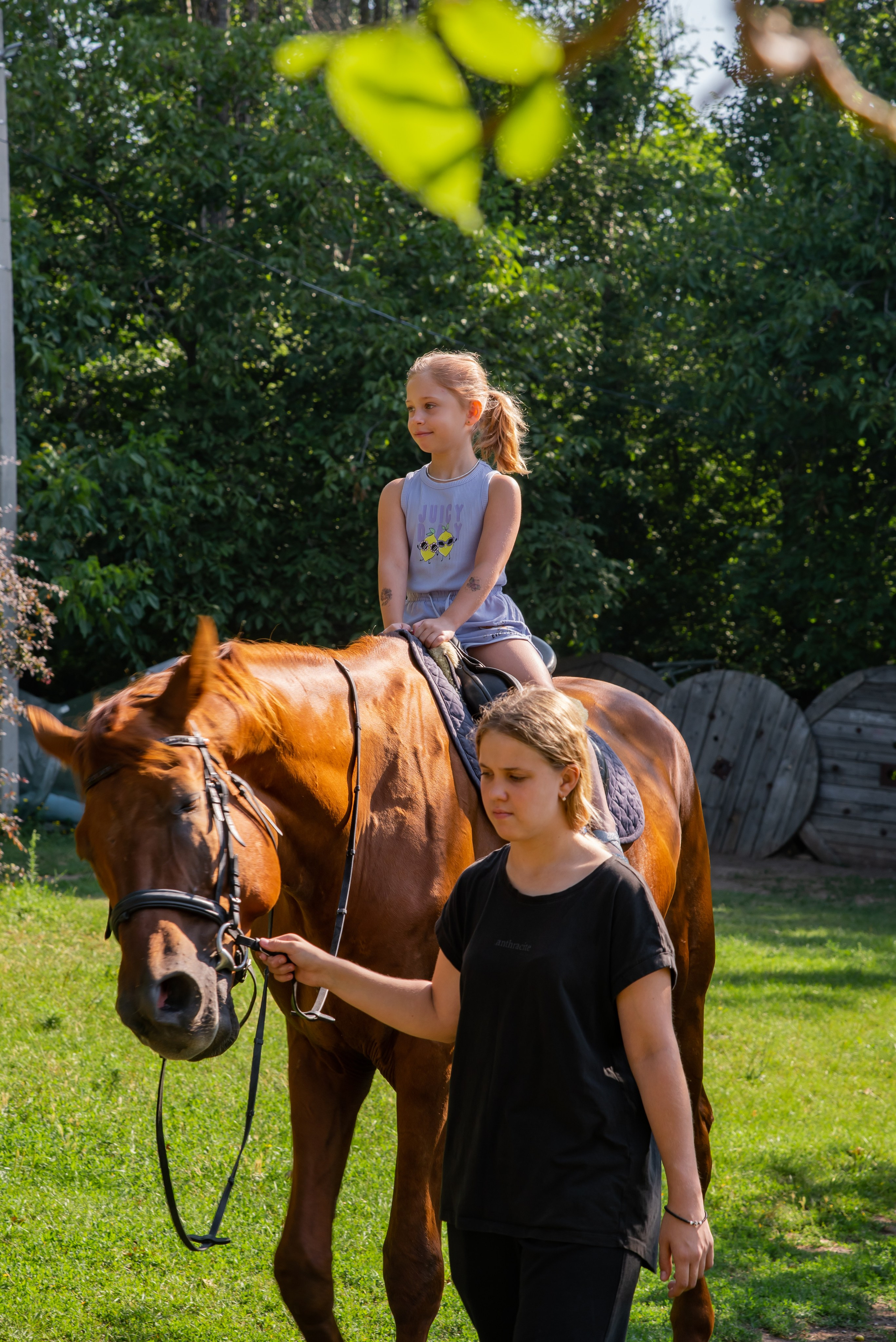 Конная прогулка. Фотограф Галина Нестерова