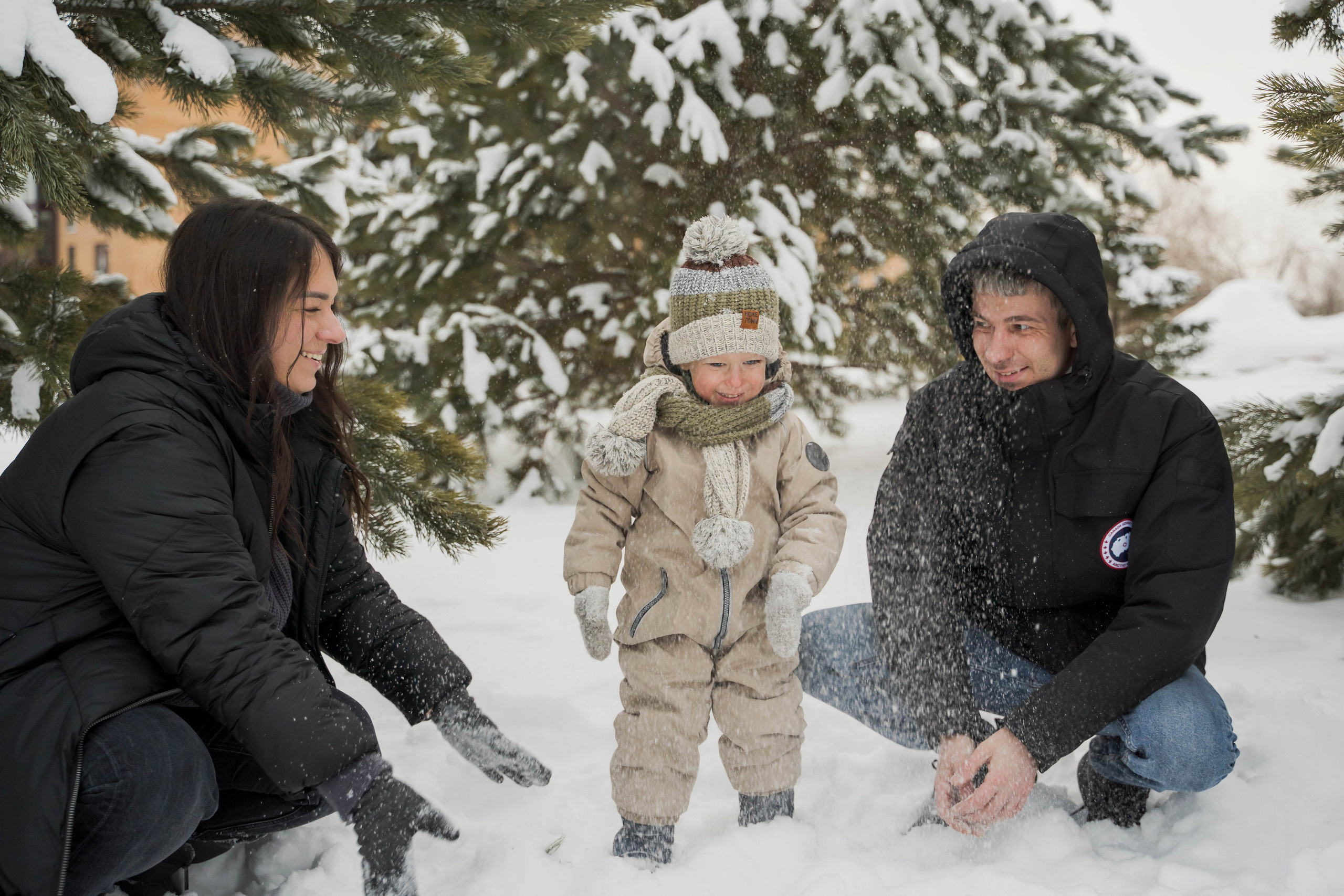 Зимняя прогулка. Главная