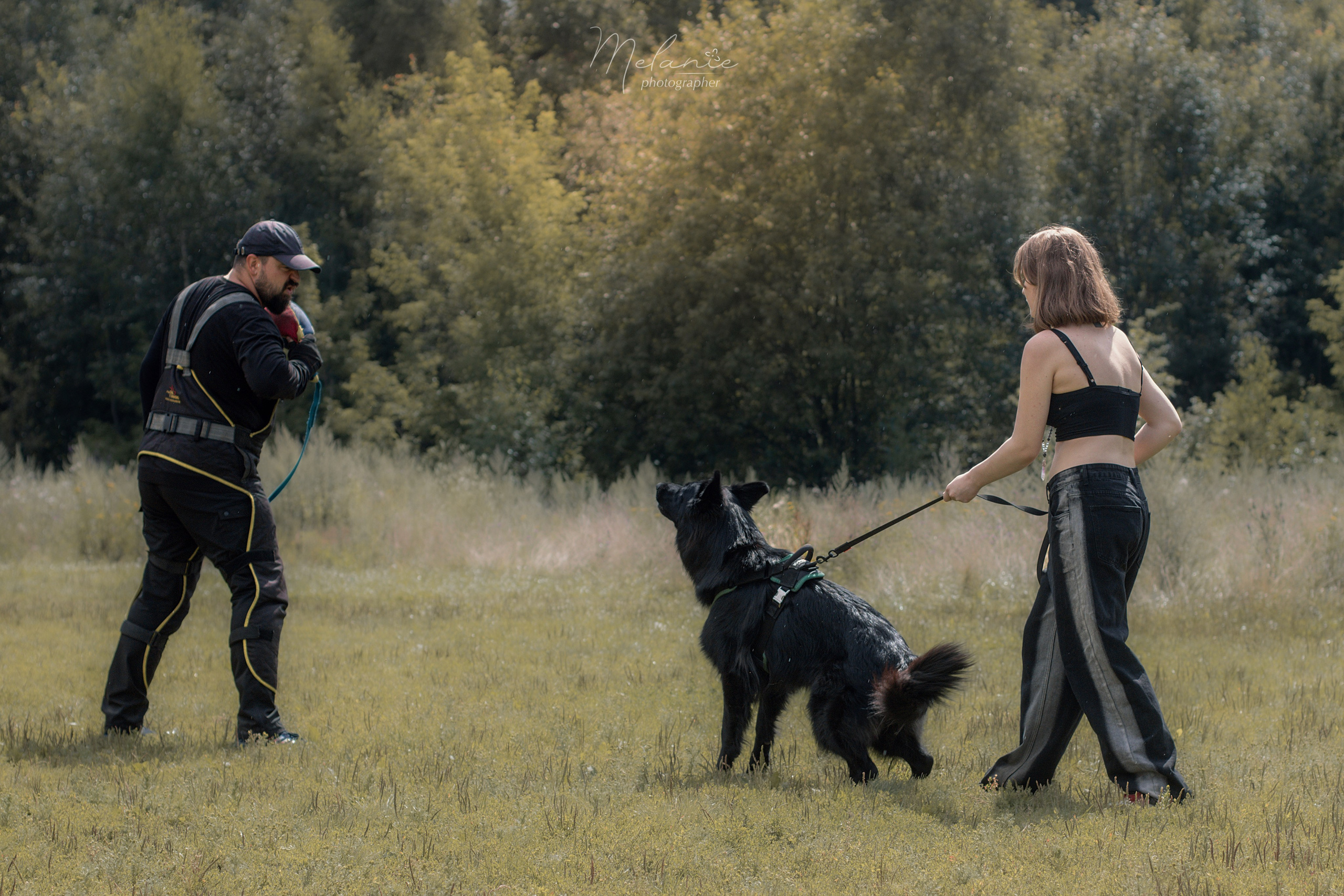 Собака в спорте. Фотограф-анималист в Москве Дорн Мелани