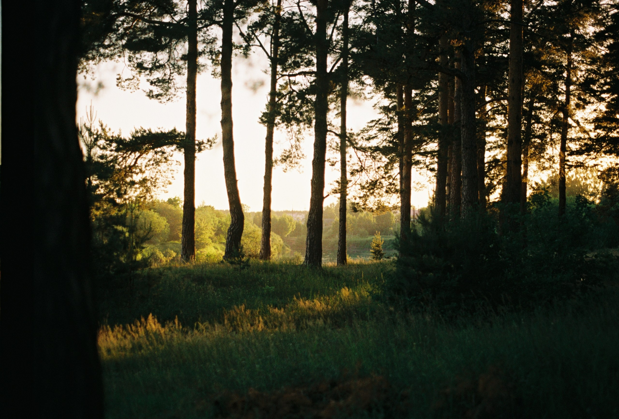 Rotten Rice Meet 2022 / 1. Автомобильный фотограф в Москве Дмитрий Глазков