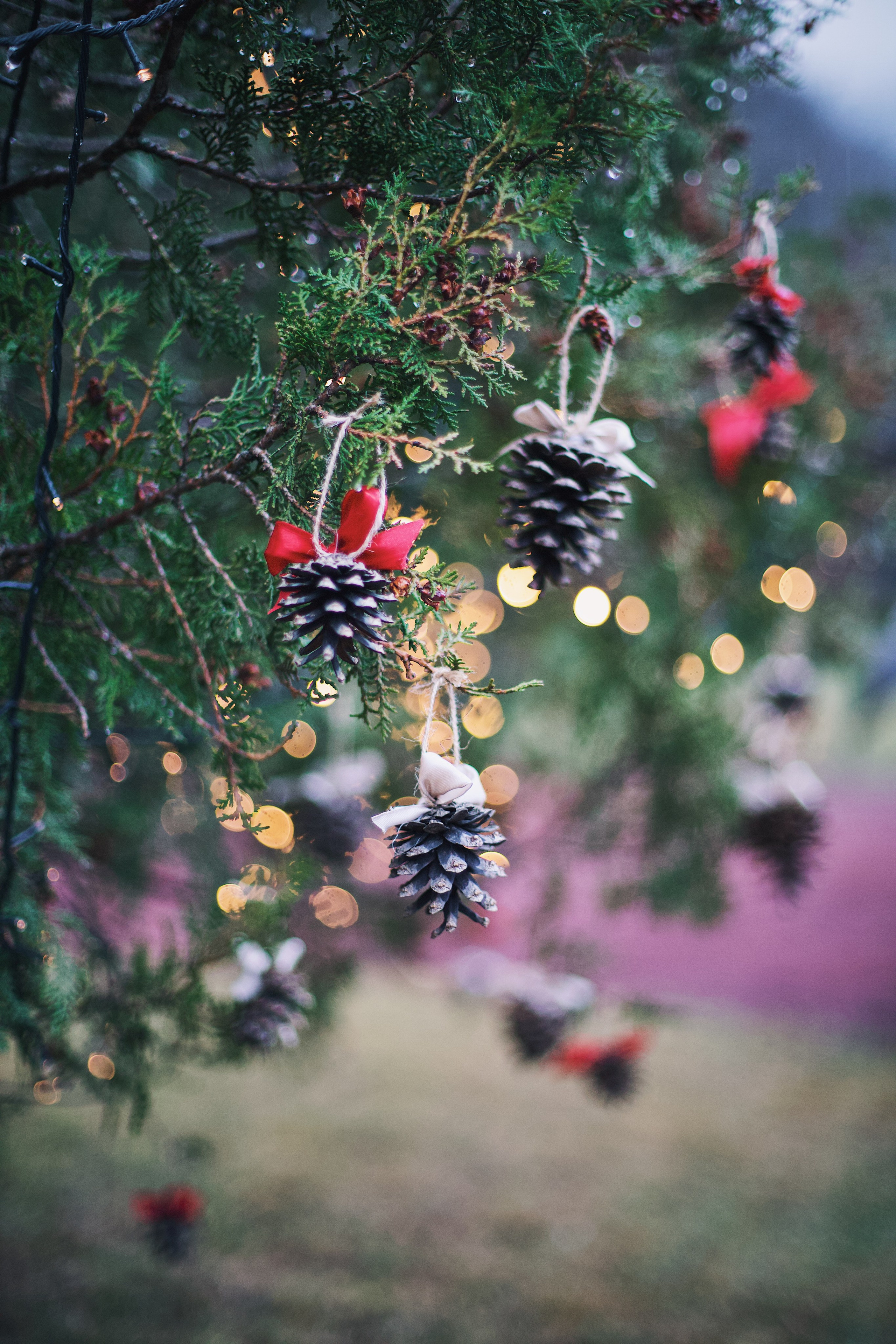 Christmas Tree opening in Dilijan city park. Фотограф в Армении Женя Гилевич