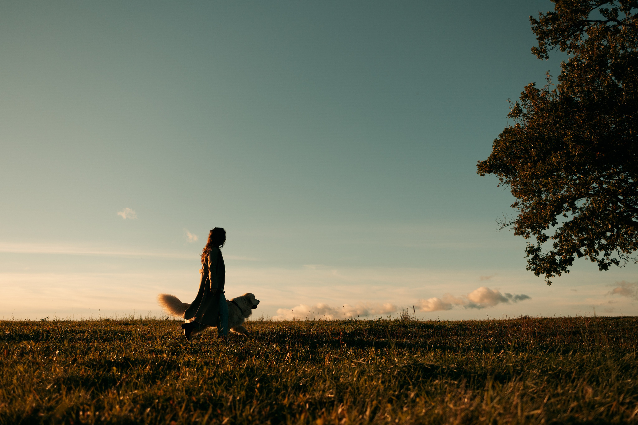 Лера и Скай. Фотограф — Анималист | Санкт-Петербург