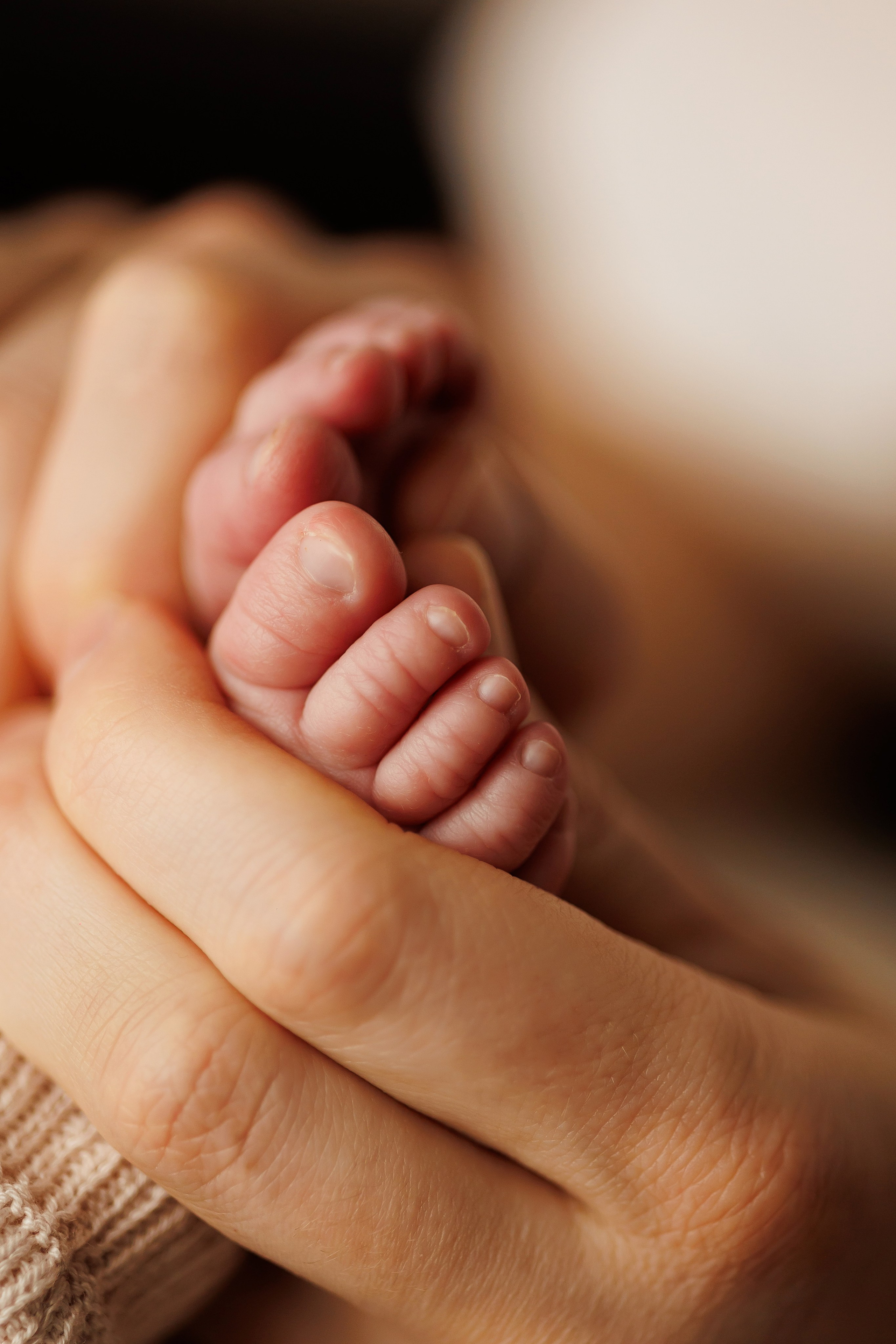 Новорожденные. Фотограф новорожденных в Сочи Екатерина Вялова