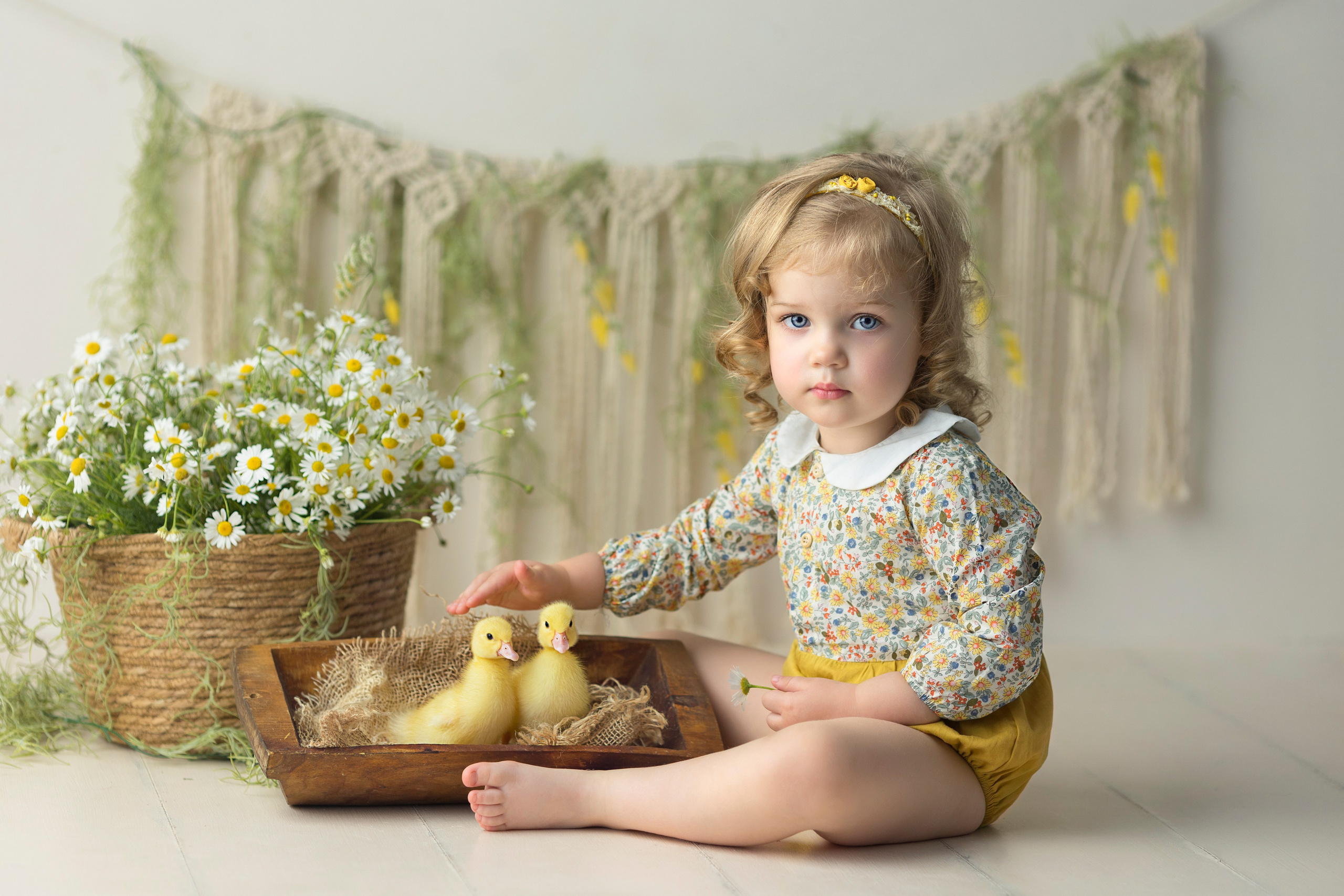 Утки. Главная