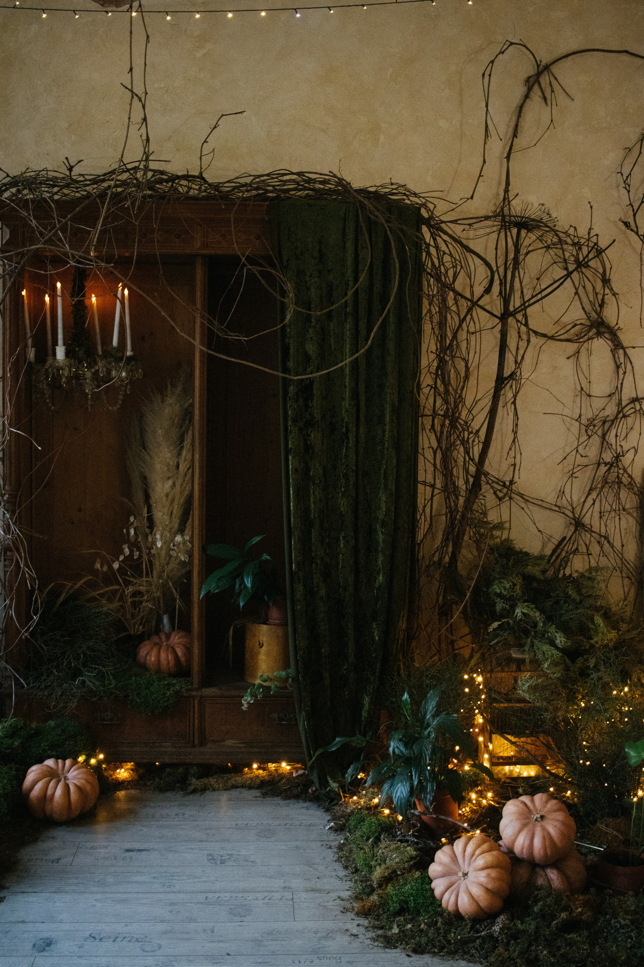 Корпоративы // Дни рождения. Коммерческий фотограф в Санкт-Петербурге (СПб) Екатерина Панчёха, Панчёшка