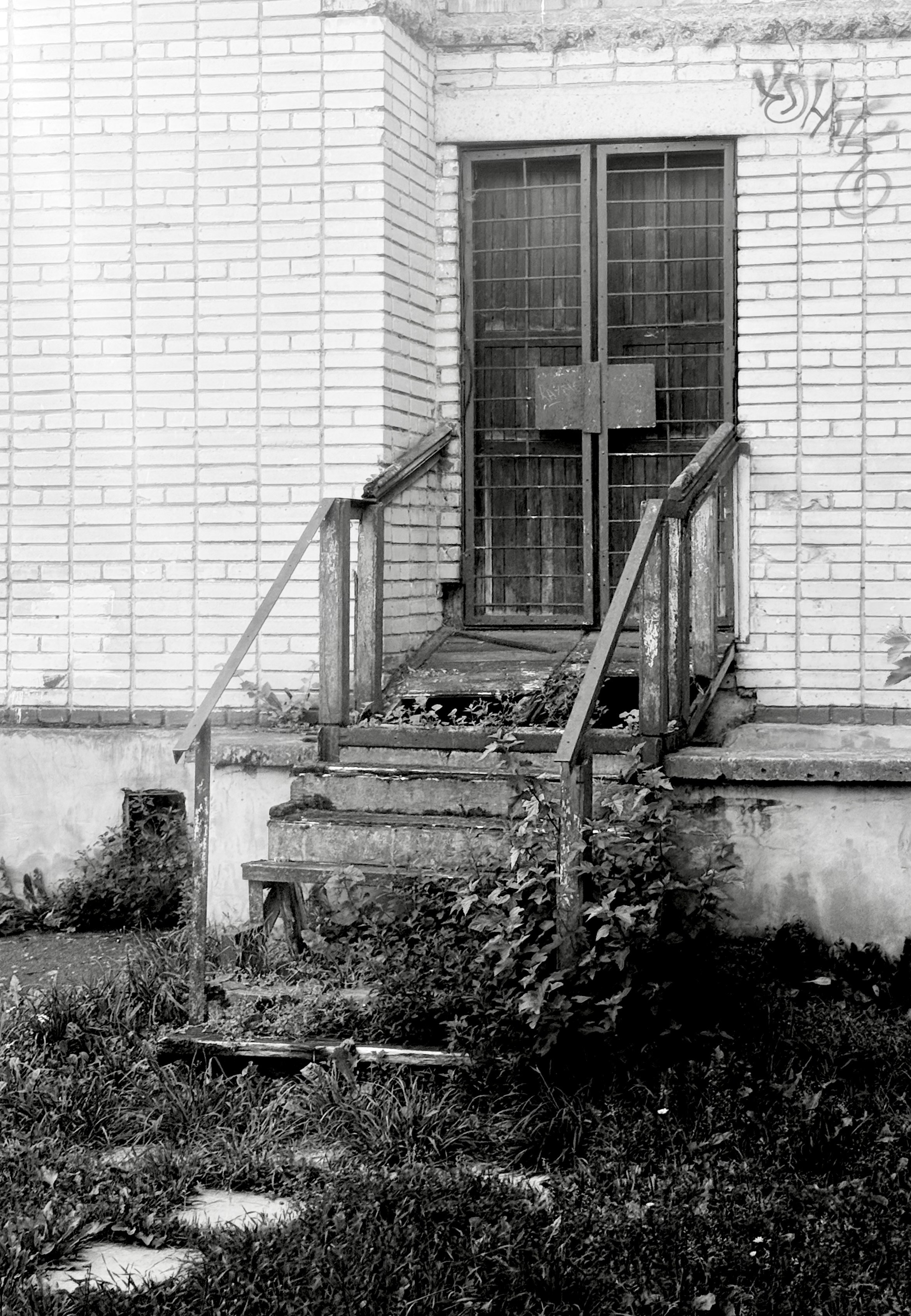 Уличный. Фотограф Арсений Королев