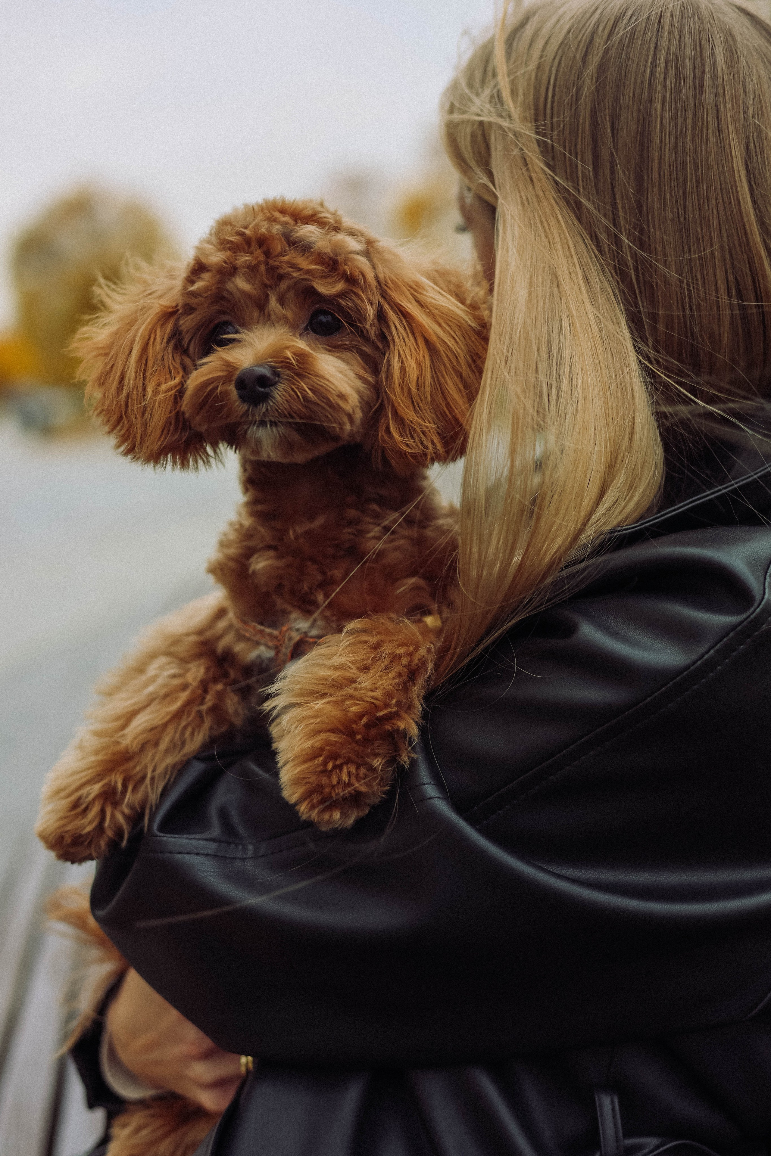 Кира. Фотограф в Москве Анастасия Калинина