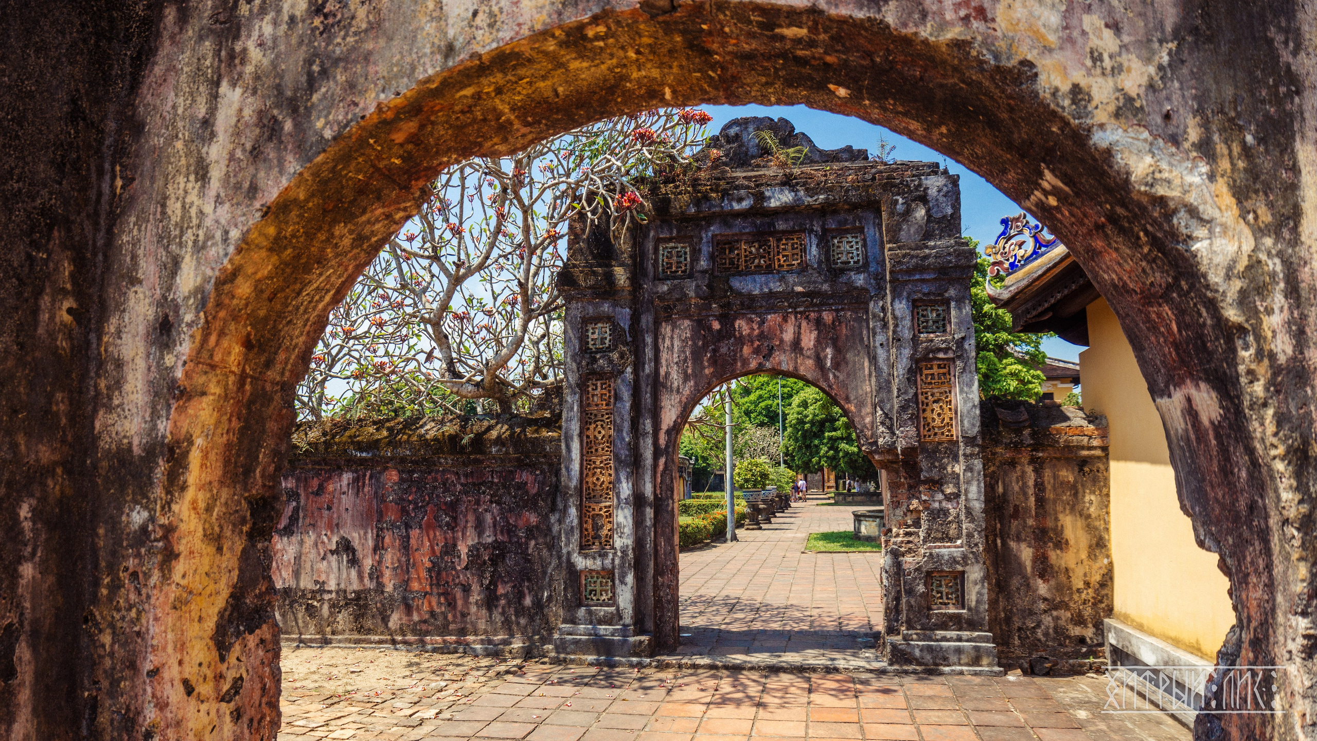 Вьетнам. Фотограф-путешественник Самойлов Максим «Sly Fox»