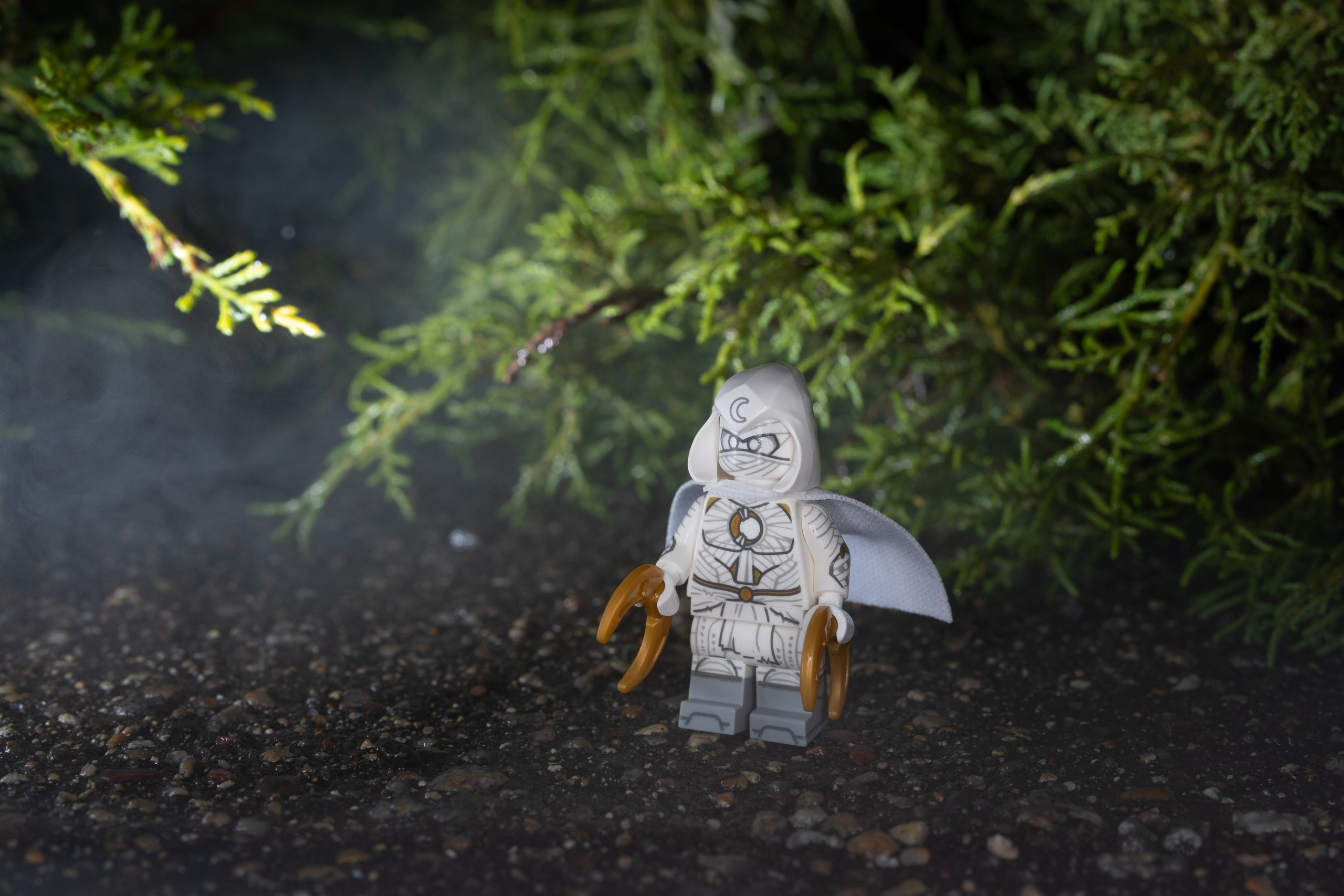 Фотографии приключений Джека от Виктор Степанов. Фотограф Виктор Степанов