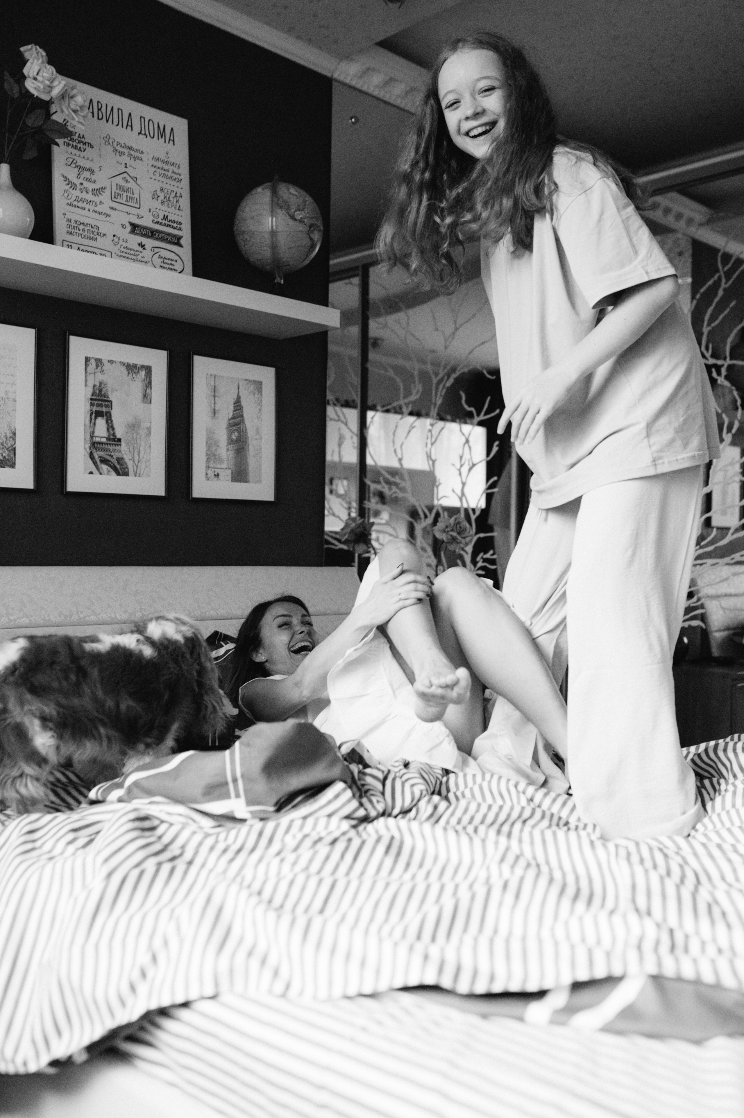 Даша, Диана, Дебби и маленькая крыска. Фотограф анималист в Москве Ольга Агушева