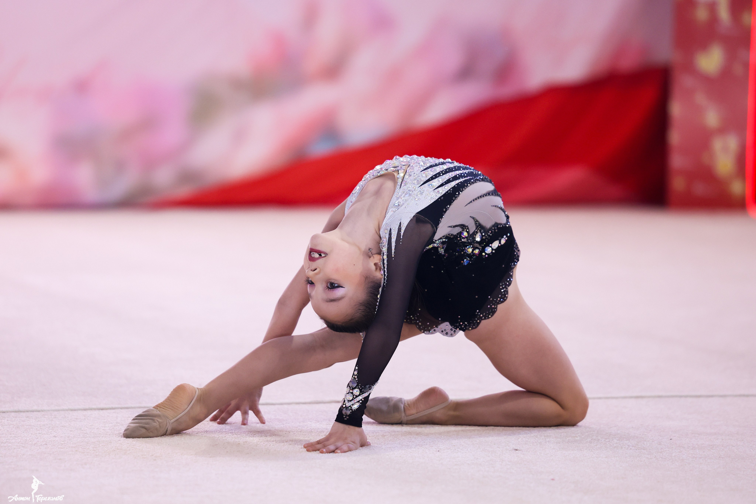 «Мелодия весны» 21.03.2026. Спортивный и репортажный фотограф Антон Тереханов