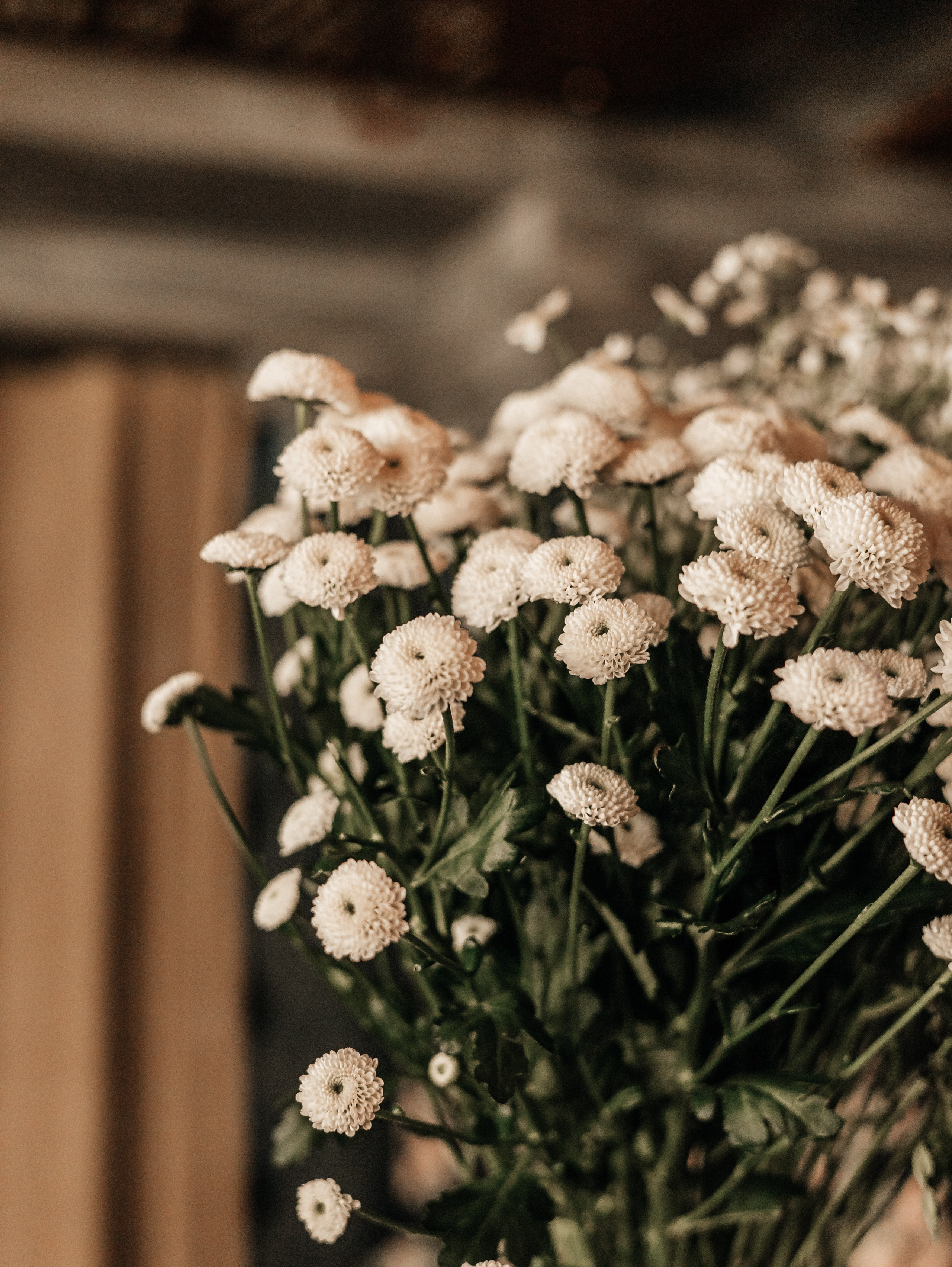 Адмитад (вечеринка для ВИП партнеров). Свадебный и репортажный фотограф в Москве
