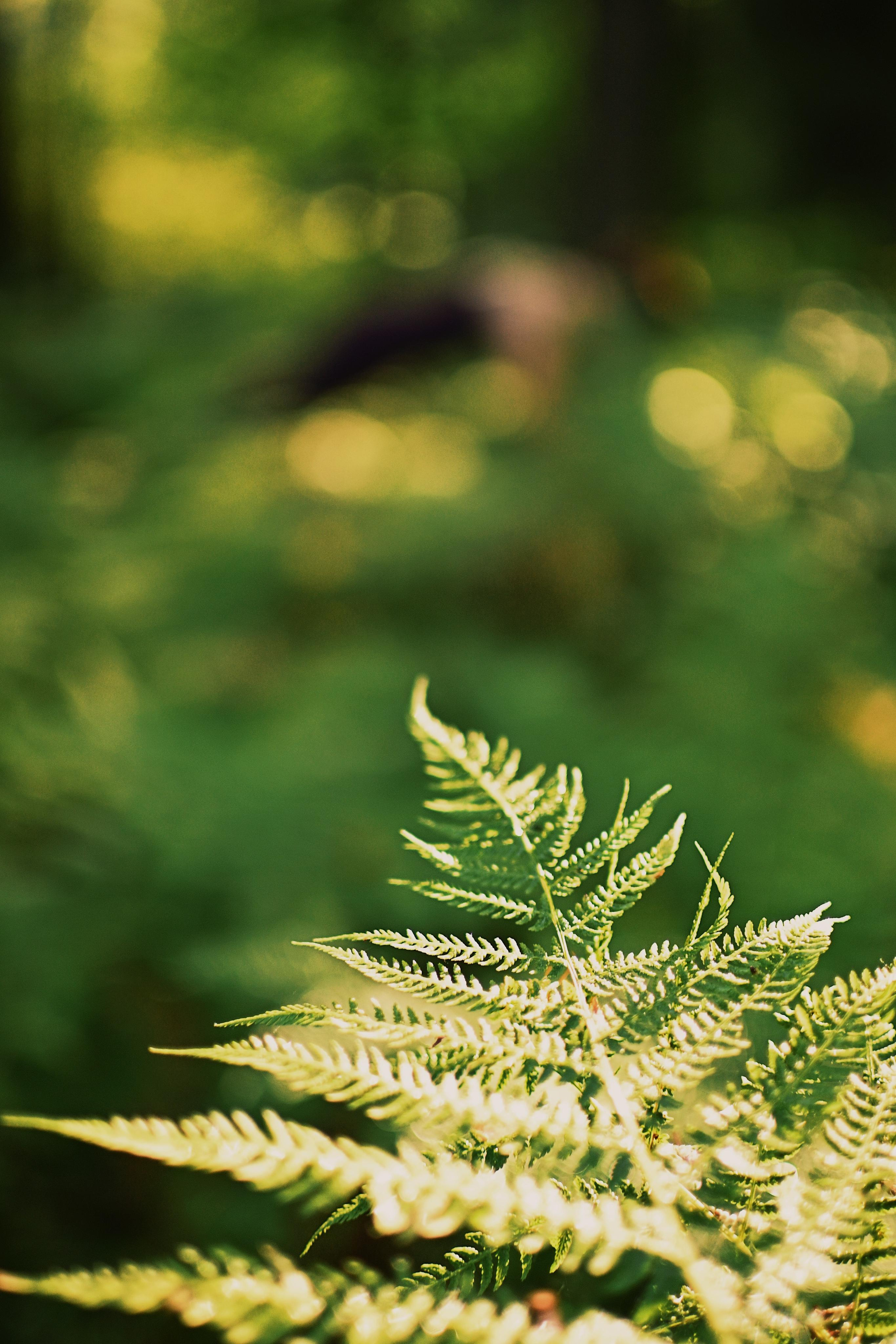 Фотосессия для Йога преподавателя. Семейный и свадебный фотограф в Санкт-Петербурге Гришин Юрий