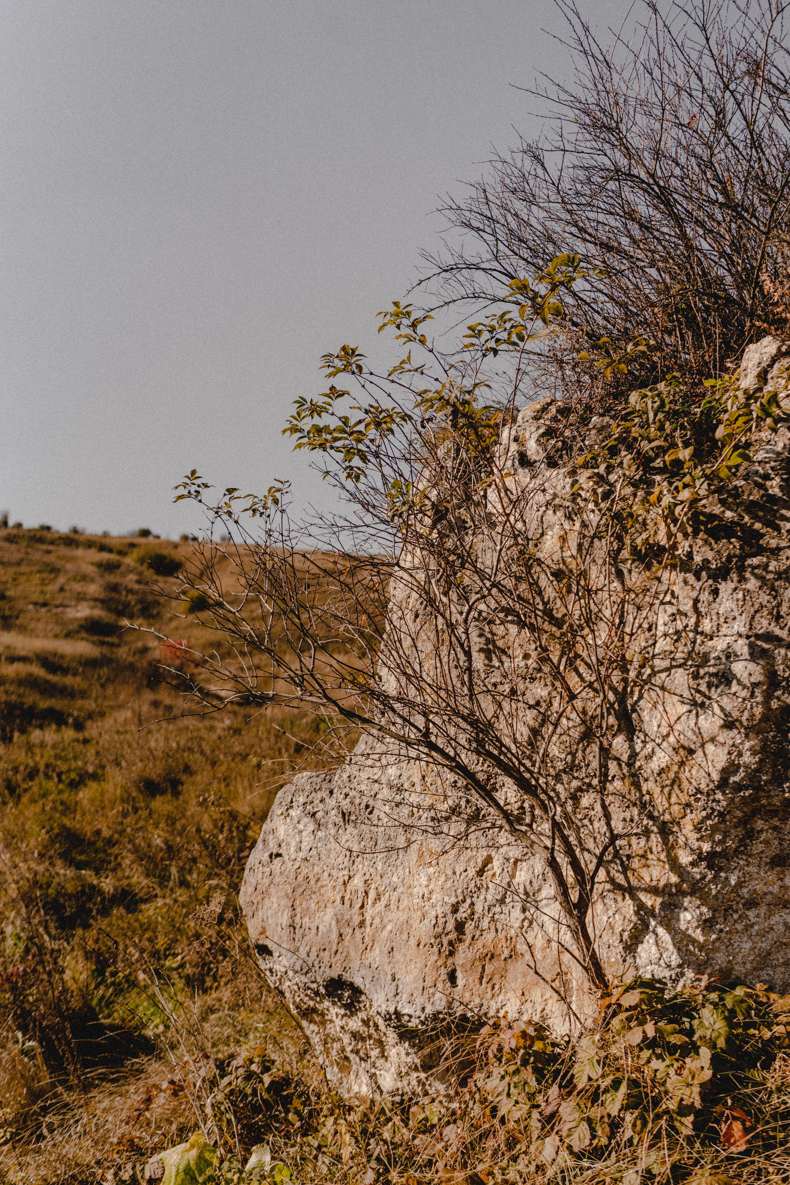 Лера, Ваня и Даня. Фотограф Анна Кобазева, Москва