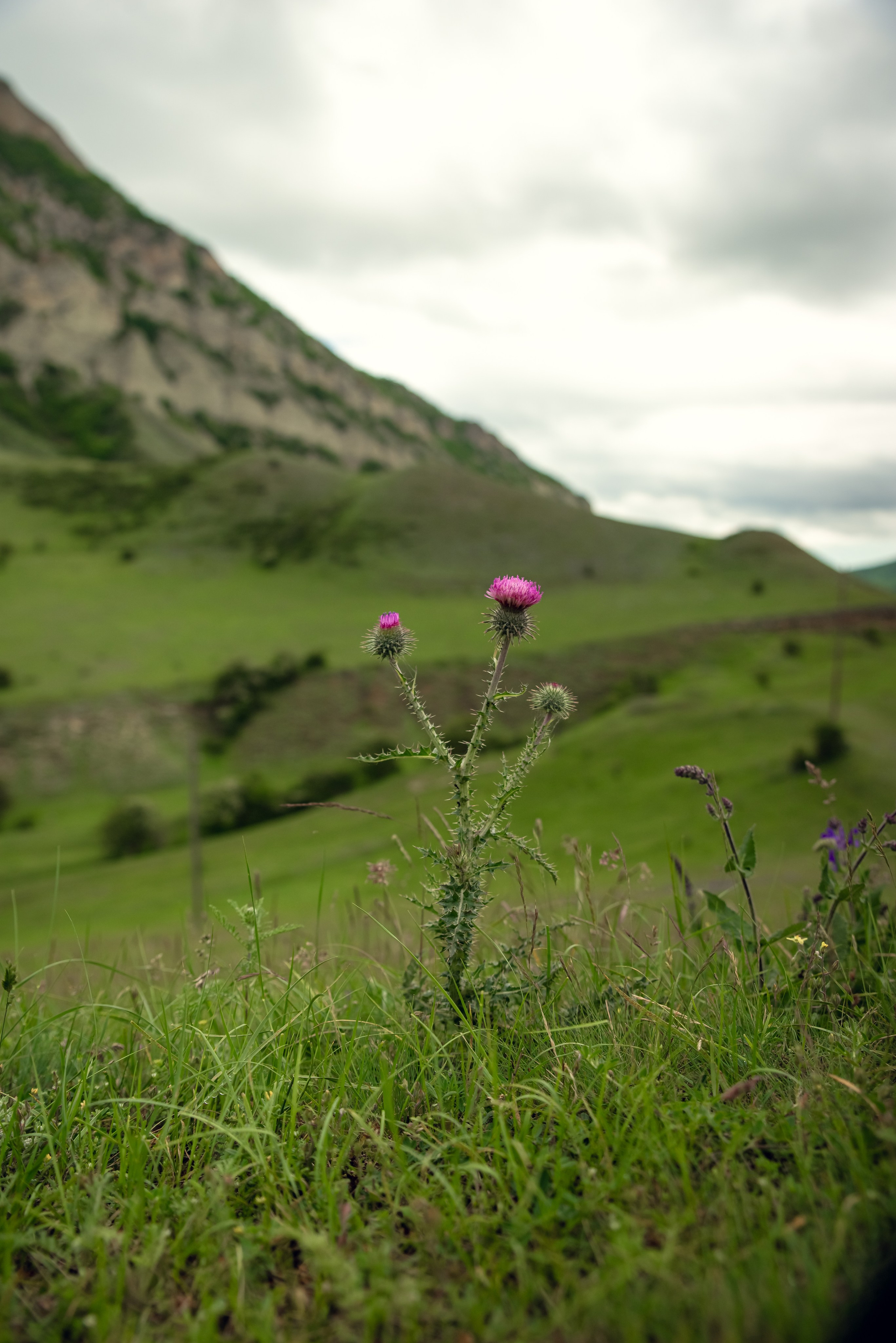 Дагестан. Фотограф Крещение Венчание Москва