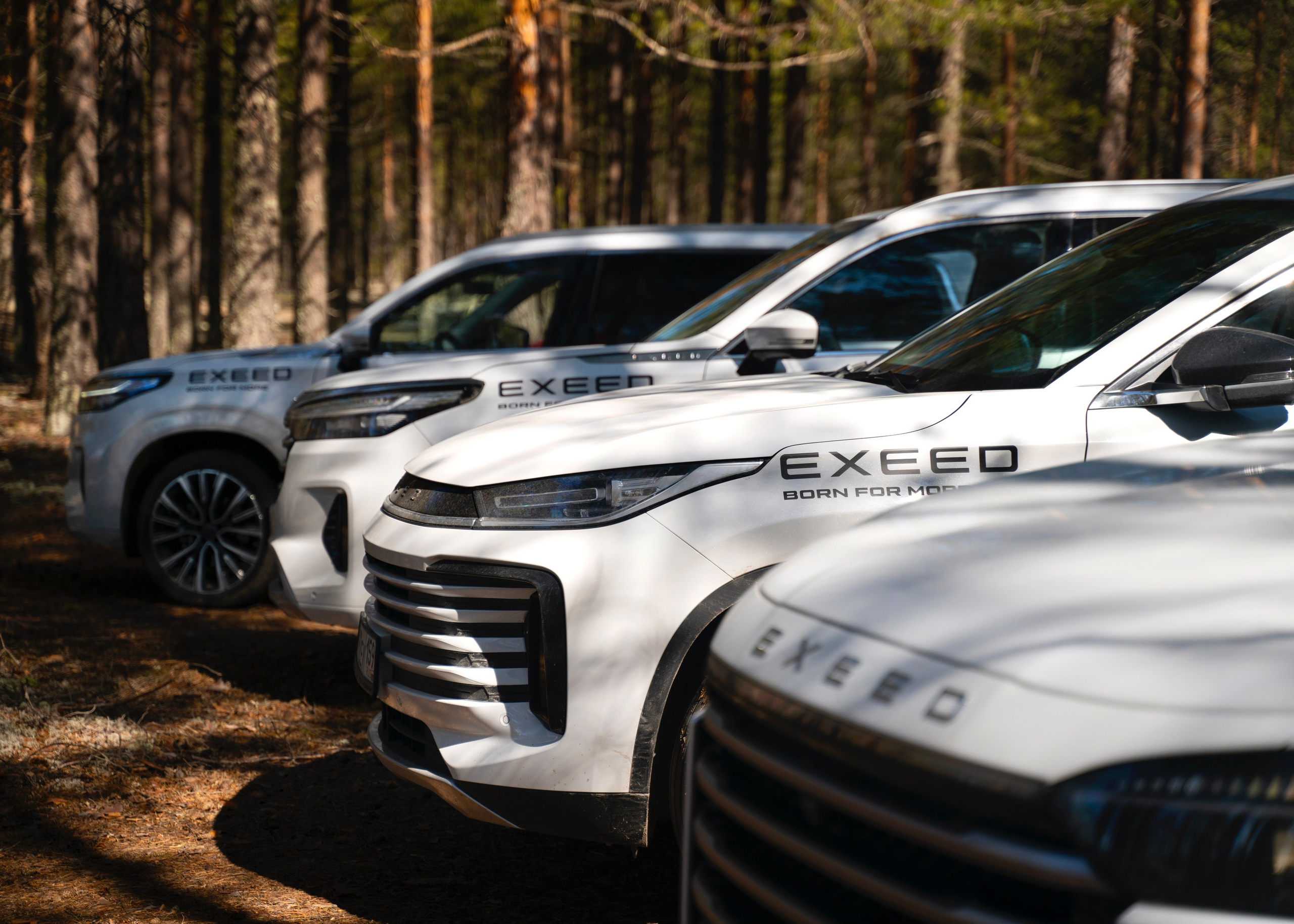 Контент съёмка. Главная