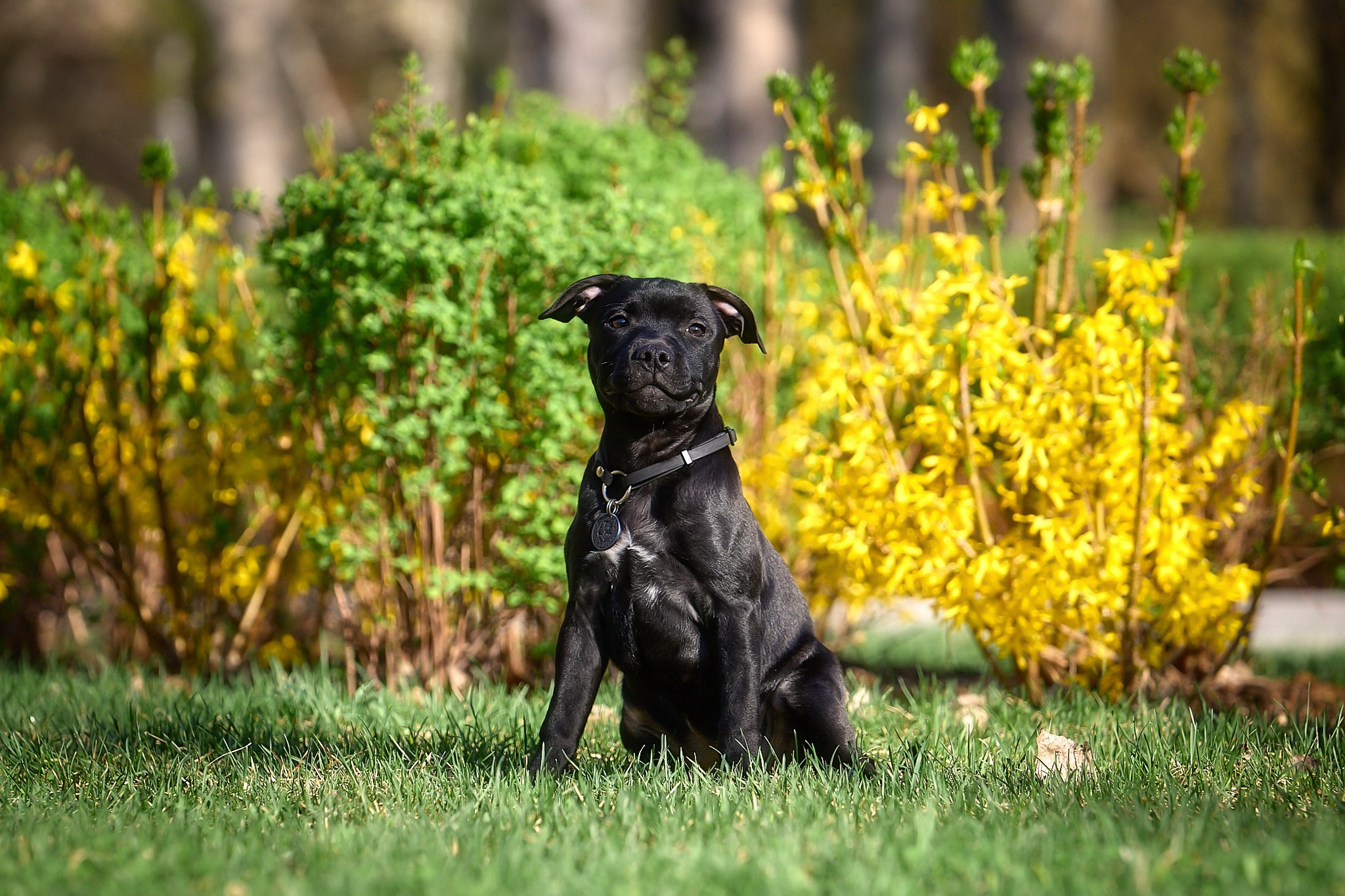 Лени. Главная