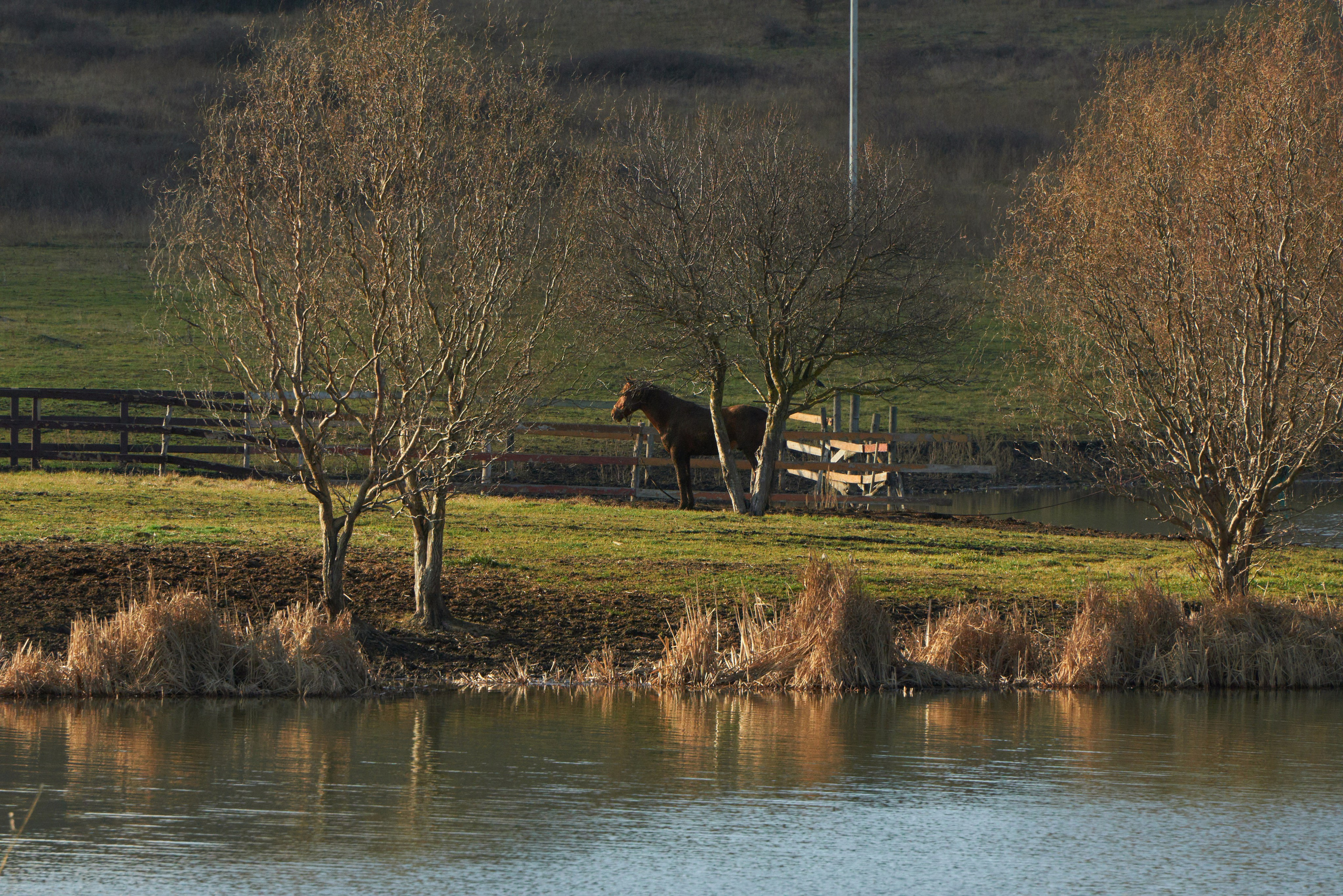 Пейзажные фотографии Анапы. Профессиональный фотограф в Анапе Артем Ковальский