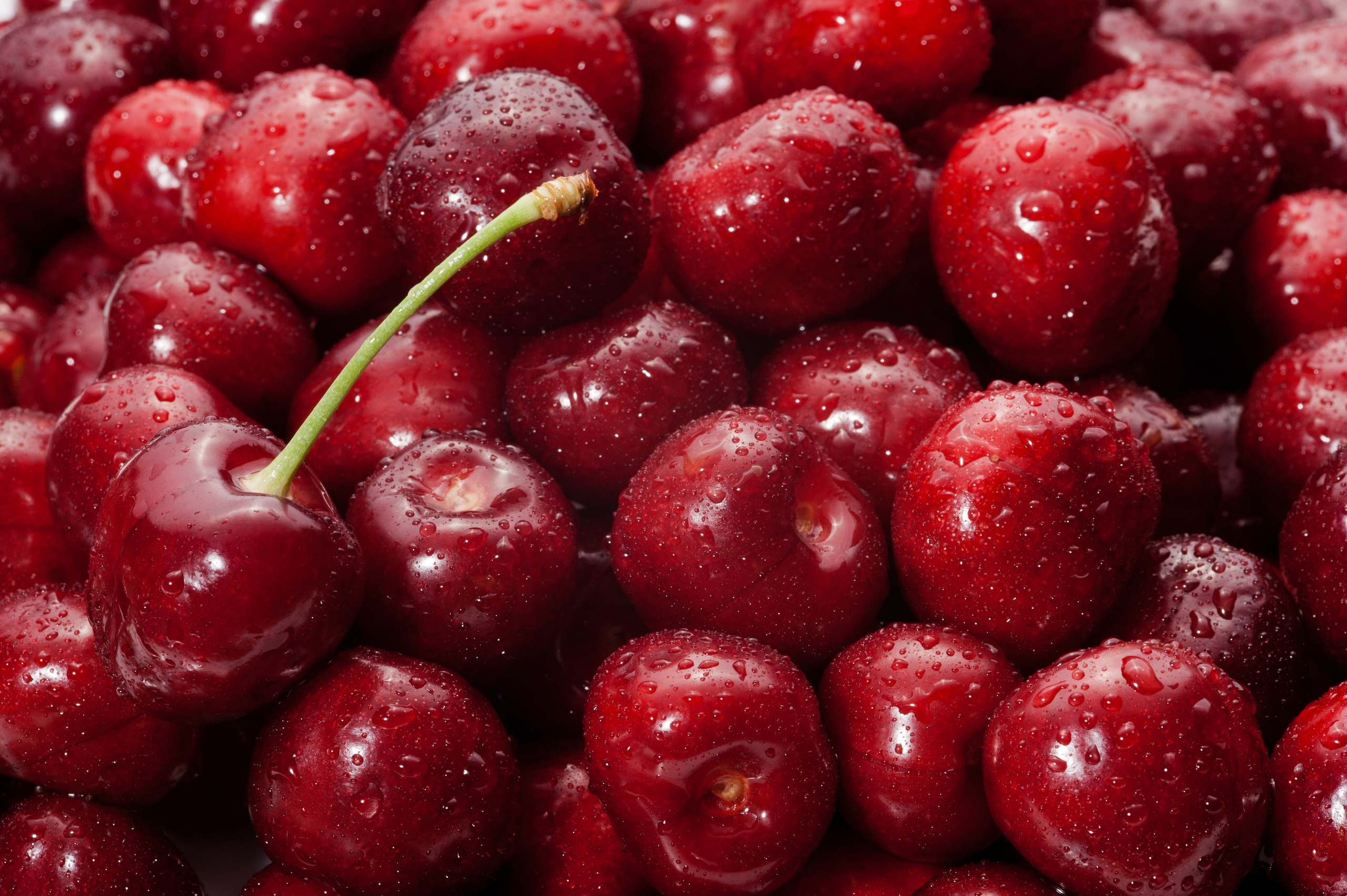 Фуд фотография. Михаил Клёшев — Профессиональный фотограф в Шымкенте и области