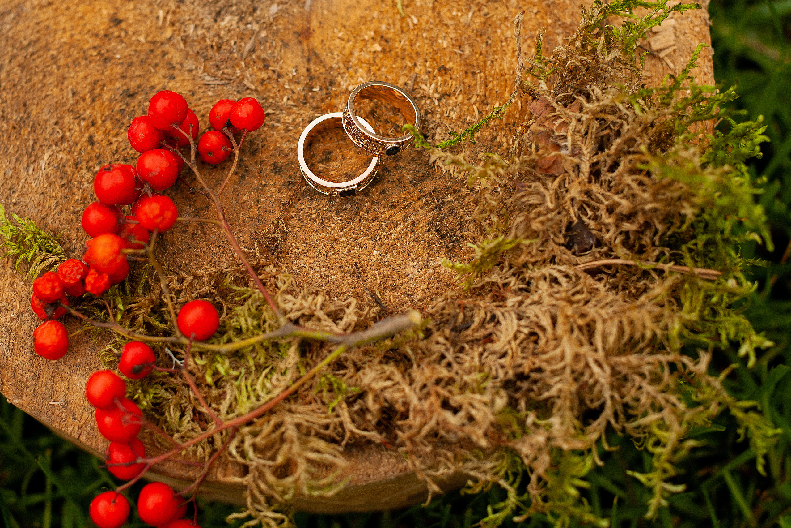 Свадьба в сентябре в загородном клубе Морино. Олег Сверчков | Свадебный фотограф Вологда