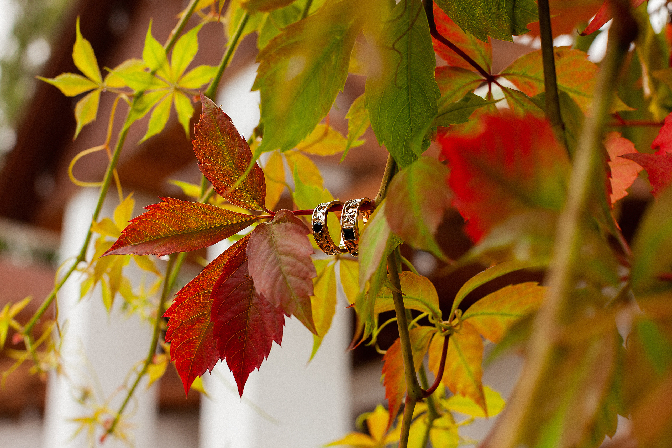 Свадьба в сентябре в загородном клубе Морино. Олег Сверчков | Свадебный фотограф Вологда