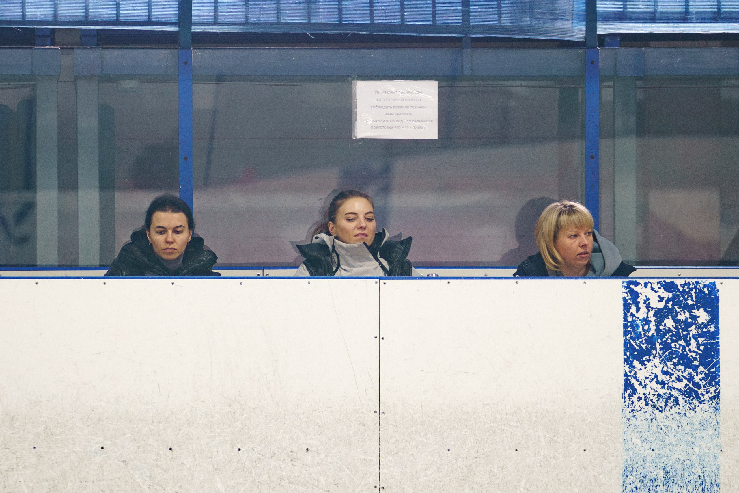Соревнования ФКК «Майские звезды». Фотомастерская Воробьевых