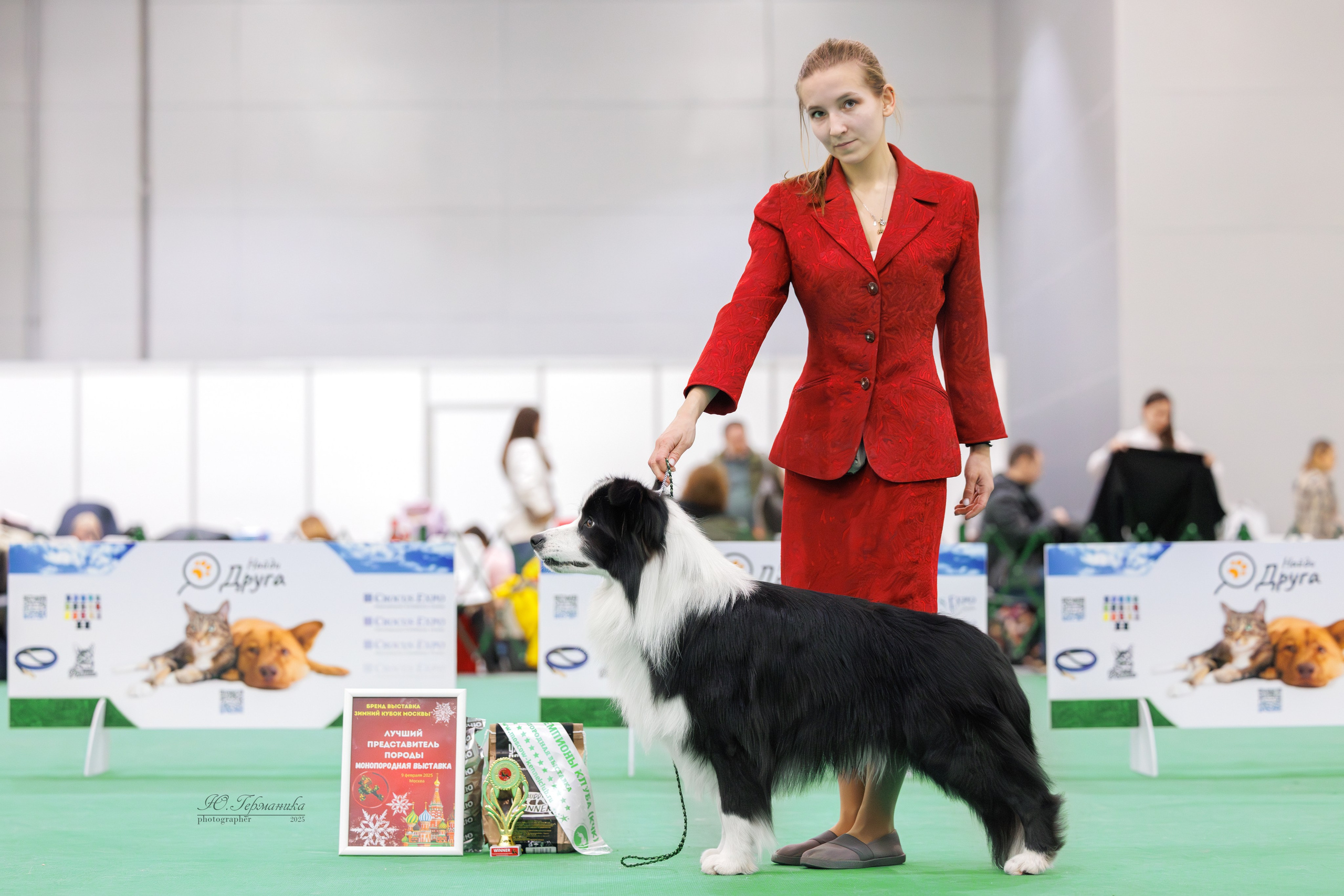 Гран-При 8.02.2025 и Крокус 09.02.2025. Фотограф-анималист Юлия Германика