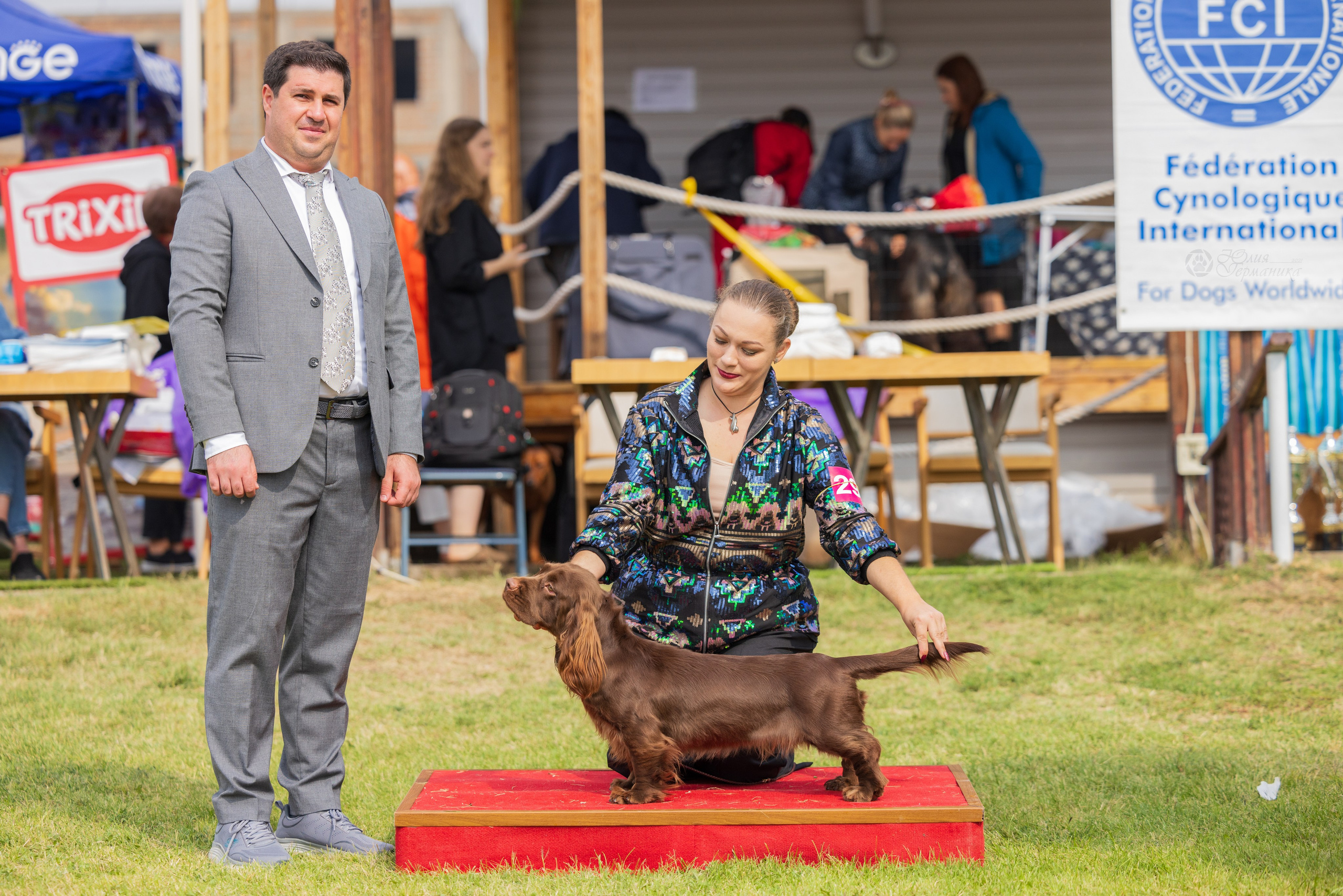 Армения,Ереван 3хCACIB 15-17.10.2024. Фотограф-анималист Юлия Германика