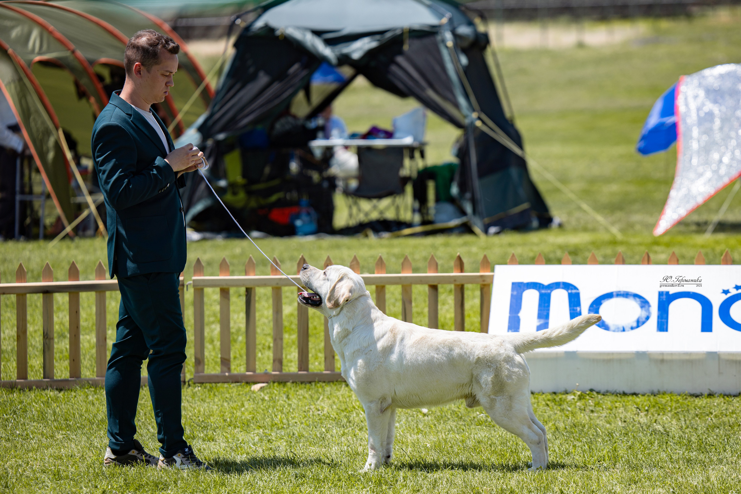 Ереван 3-5.06.2024. Фотограф-анималист Юлия Германика