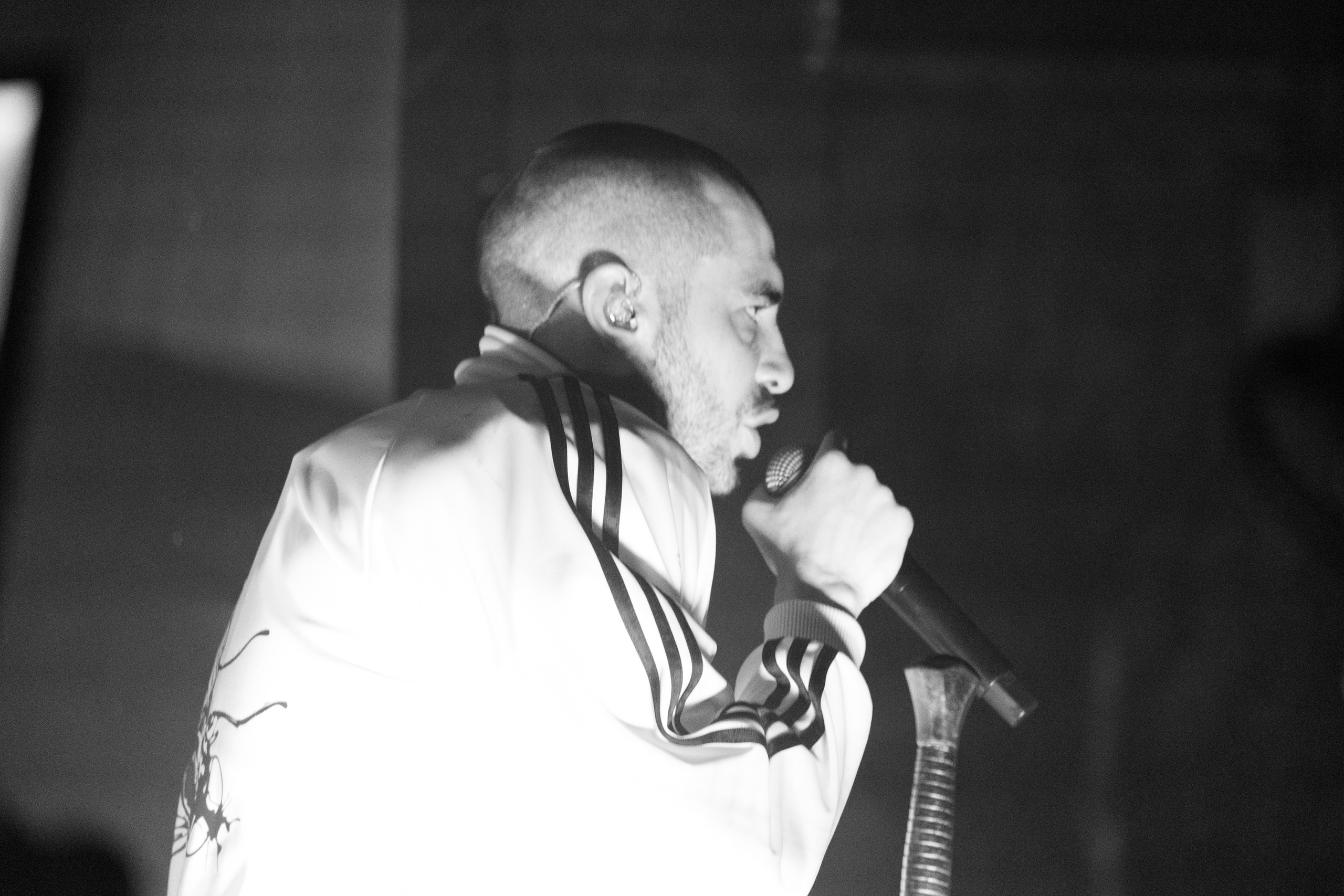 Хаски — Смоленск 23.05.2025. KiPPER Gallery — Фотограф