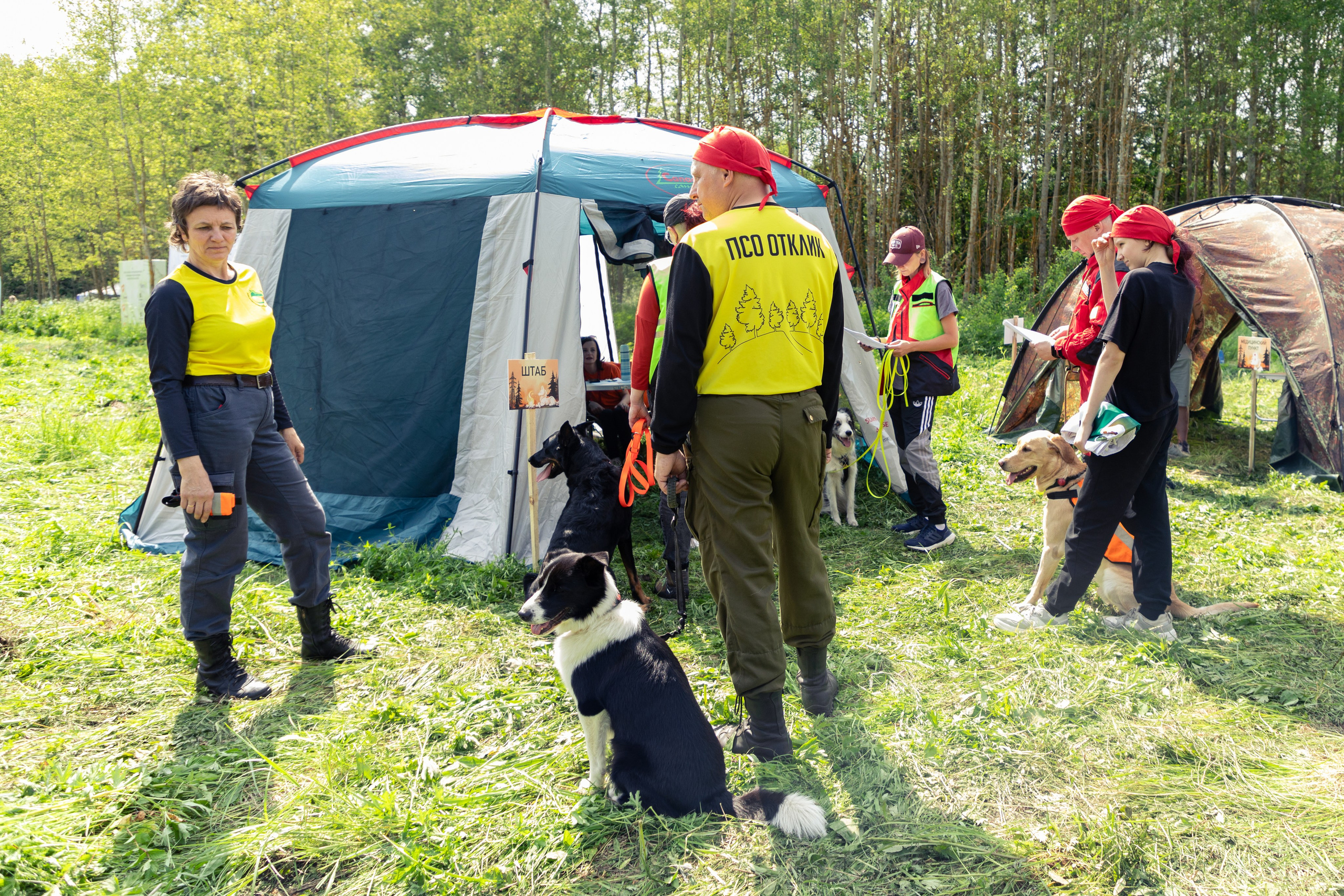 ДПСО «ЛизаАлерт». Главная