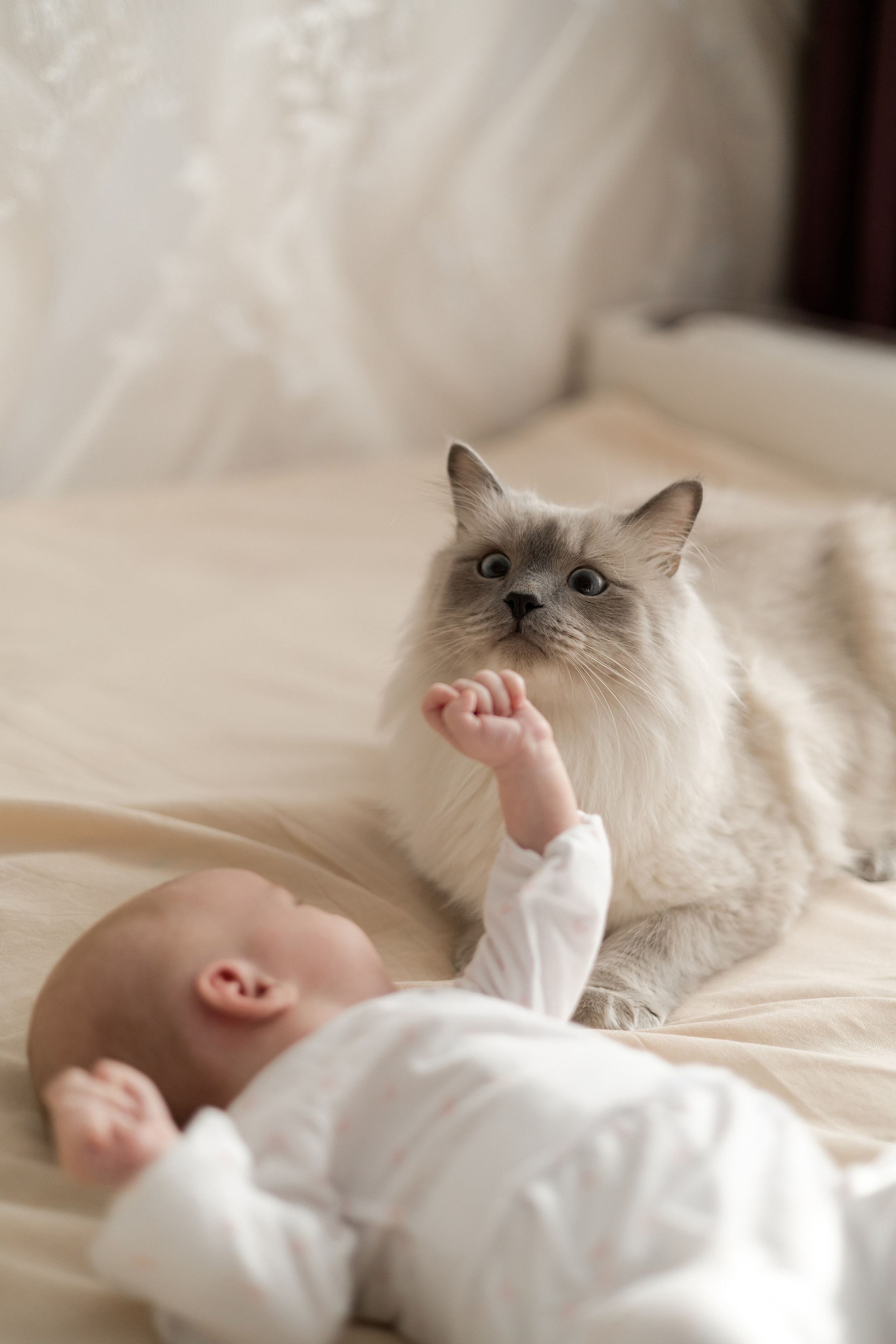 Полина, Коля и Саша. Свадебный фотограф в Пскове и Санкт-Петербурге | Анна Голикова