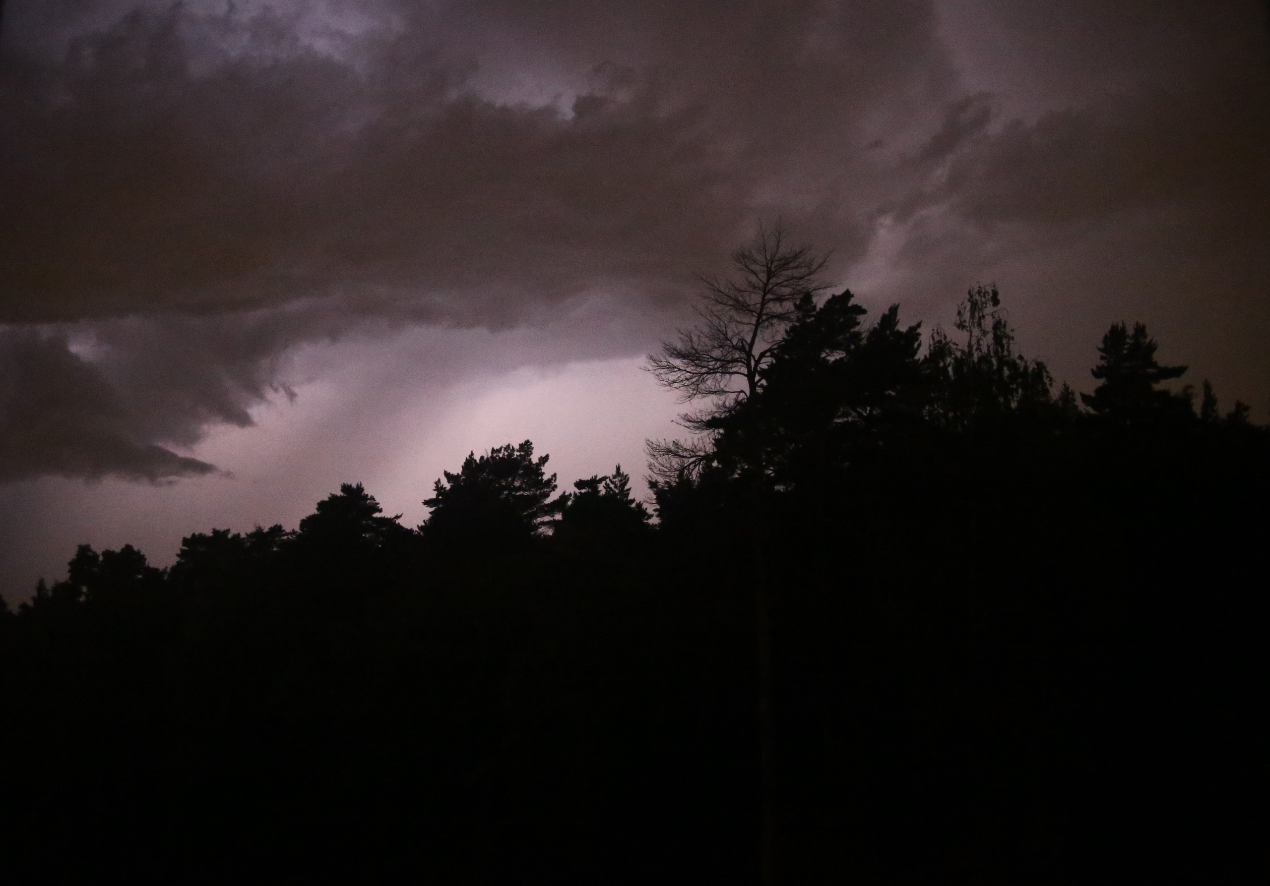 Всё, что я вижу вокруг себя