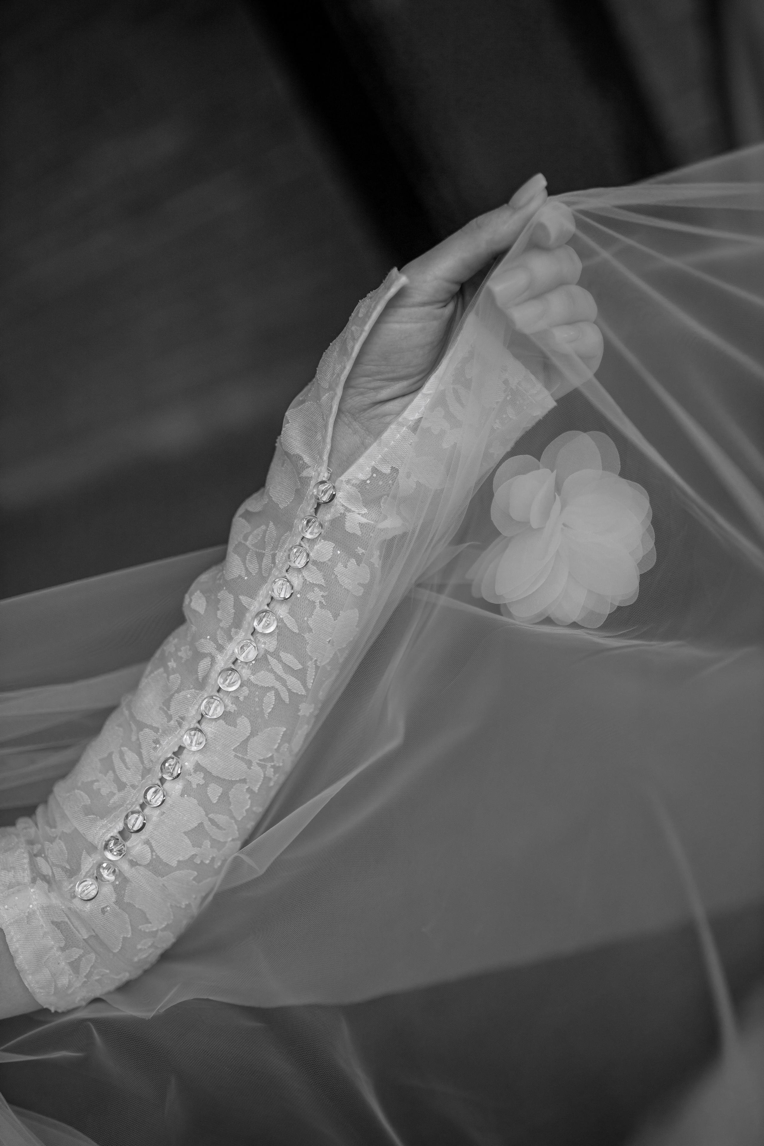 Свадебный фотограф в Новосибирске Анжелика Шамсутдинова