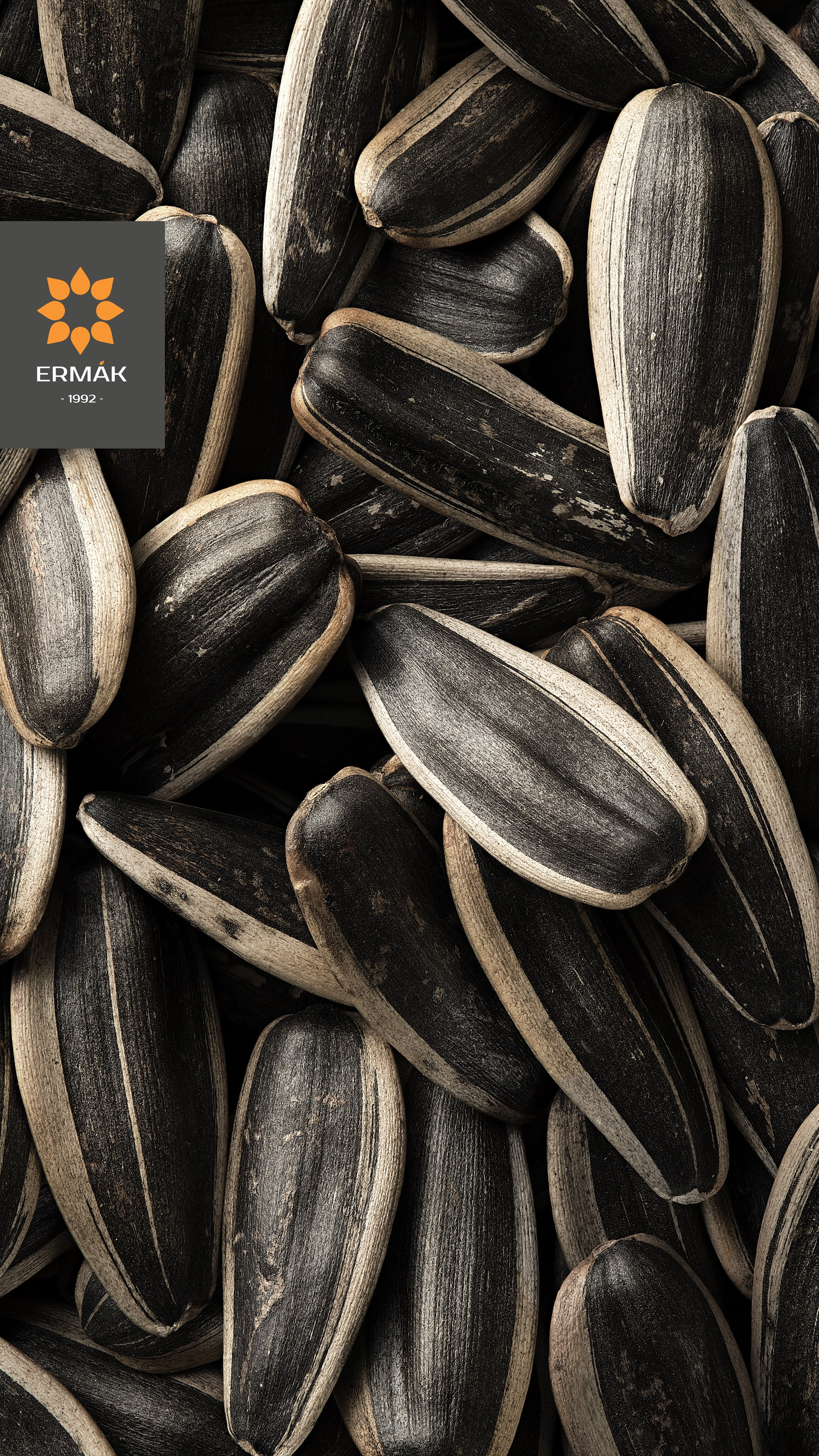 Фуд-фотосъёмка чёрных семян подсолнечника ERMAK в Казахстане — детализированное изображение в студийном свете, фото для маркетплейсов и рекламы.