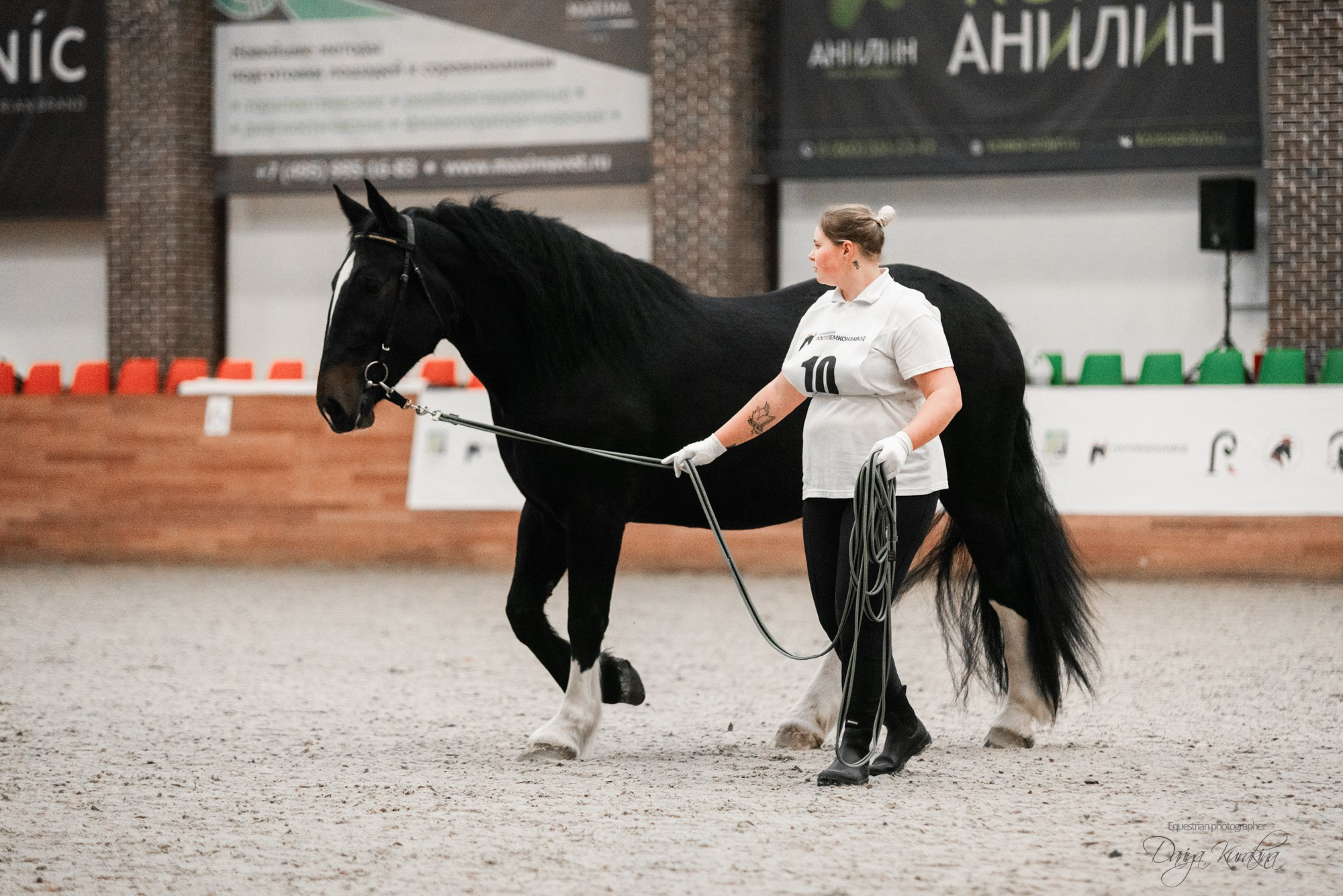 8-я международная выставка Конная Россия. Конный фотограф Куракина Дарья • Фотосессии с лошадьми