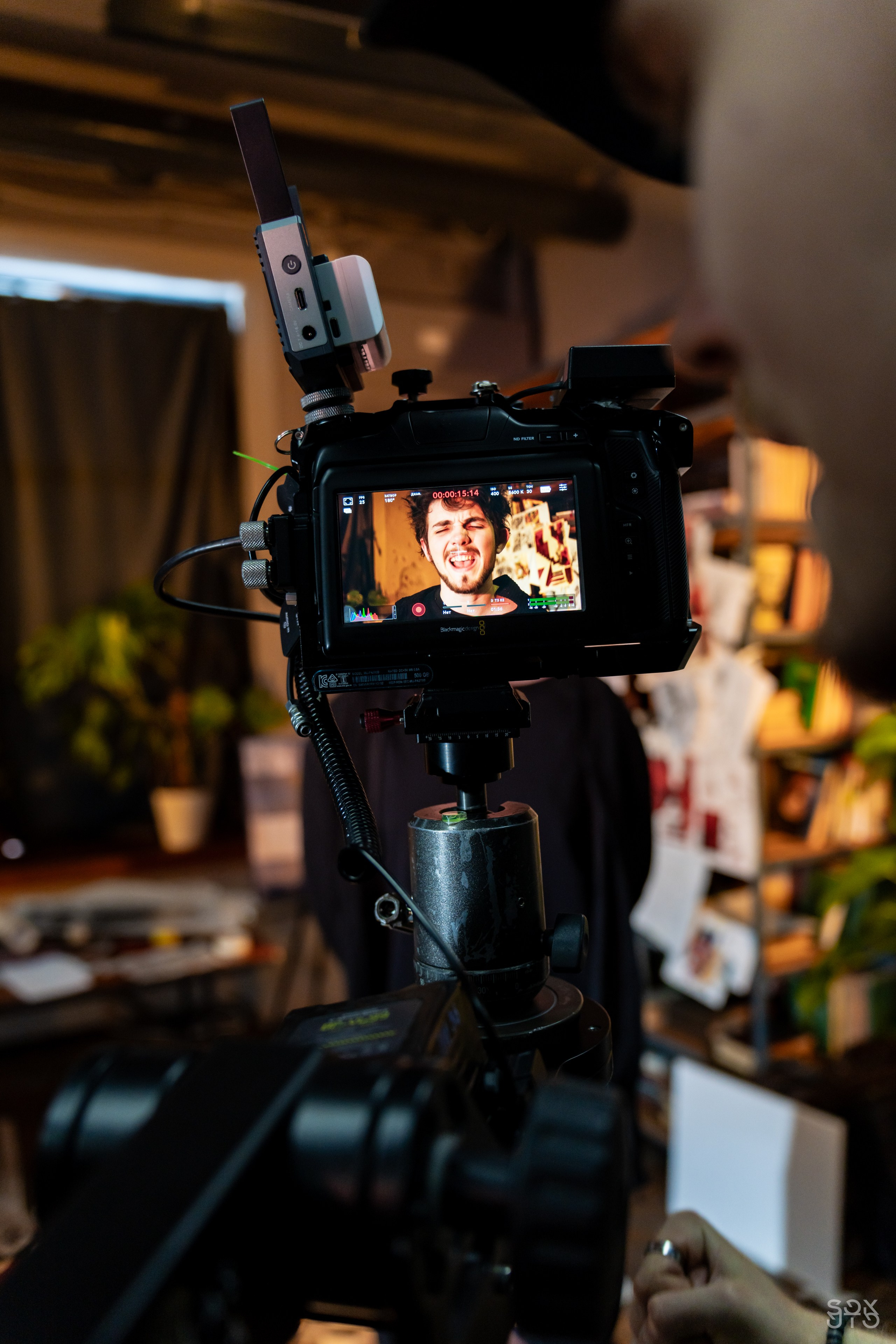 BAKED ROLL x Grad! ent